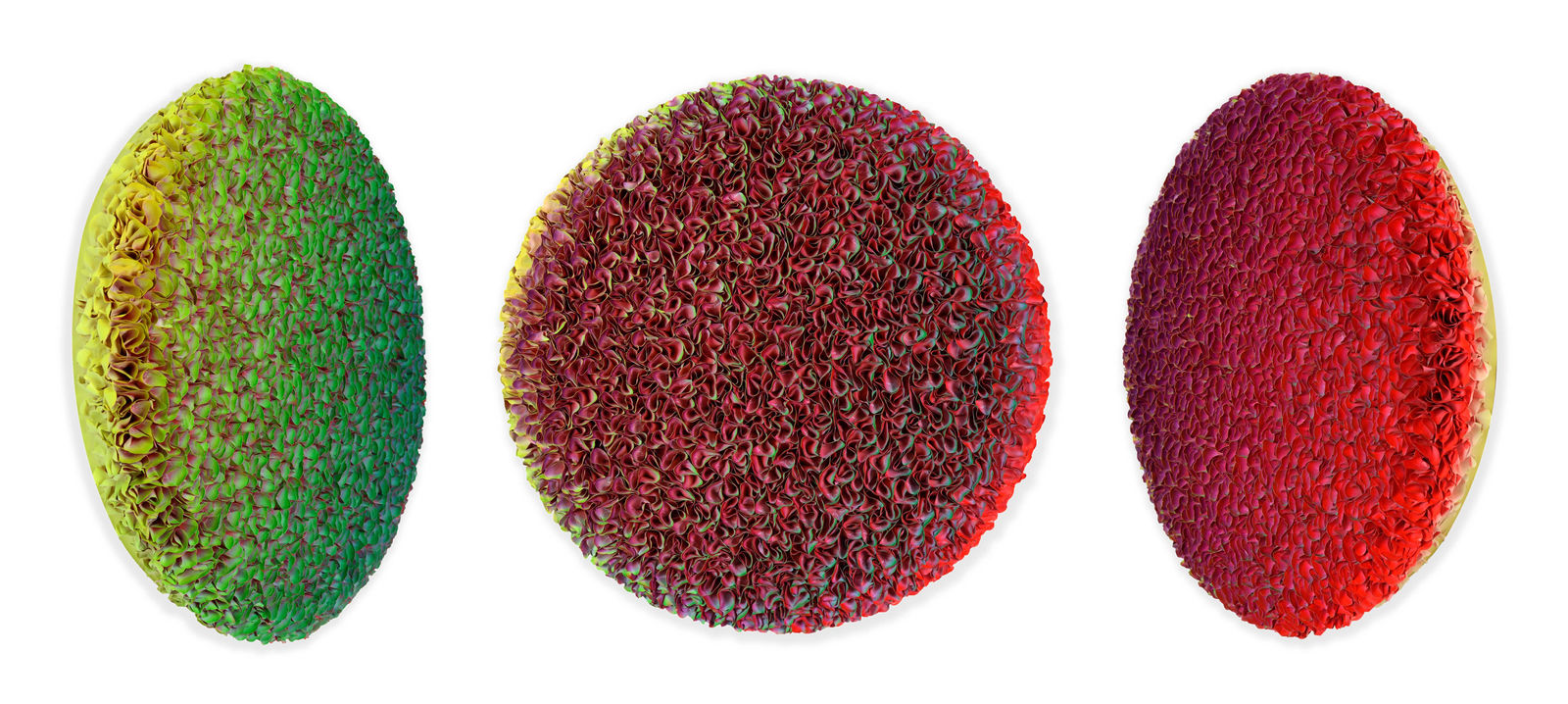 Zhuang Hong-yi, Feeling of Fall, 2023