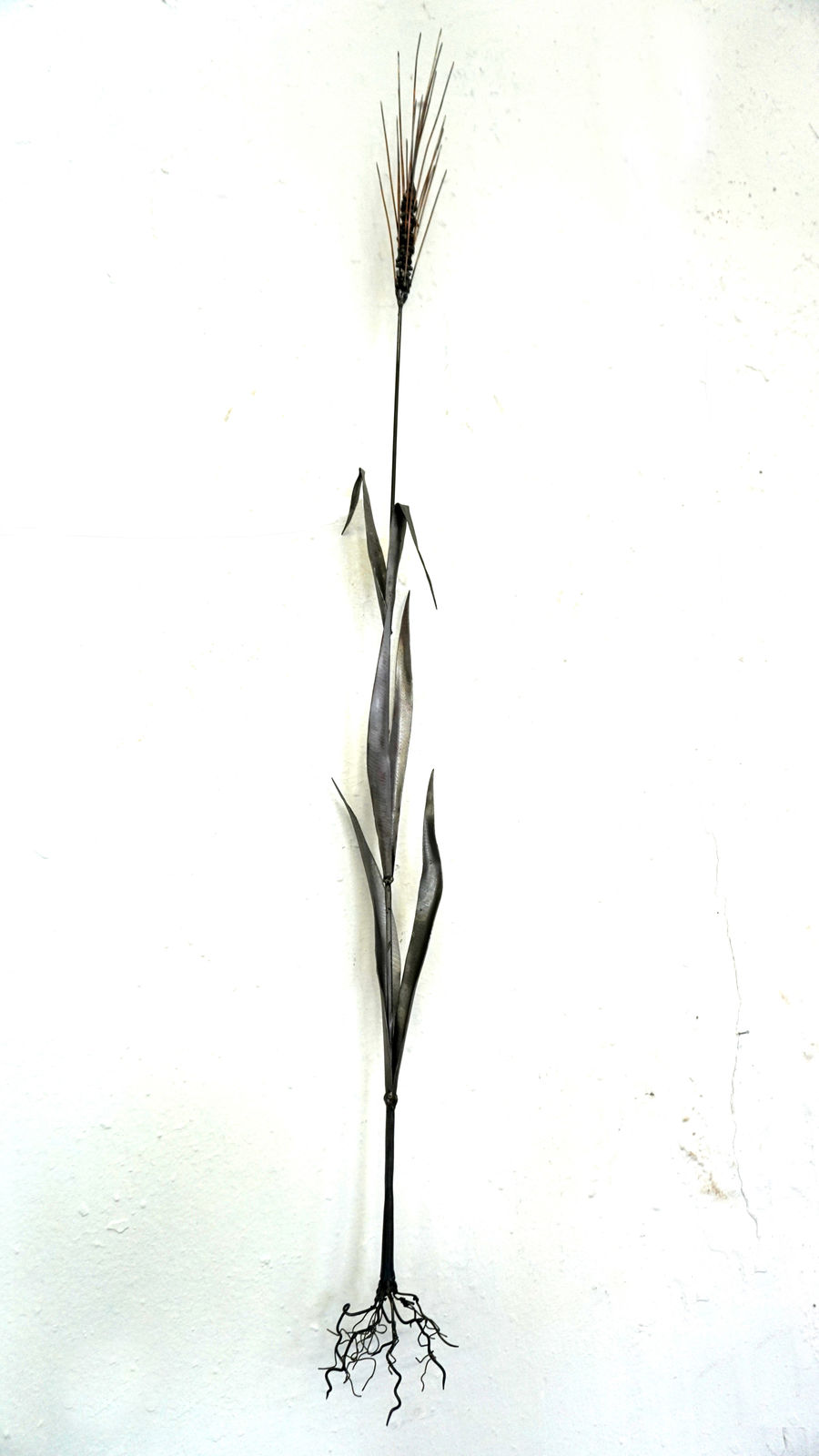 Dmitry Bulnygin, Rye, from the series "Winter Herbarium", 2025