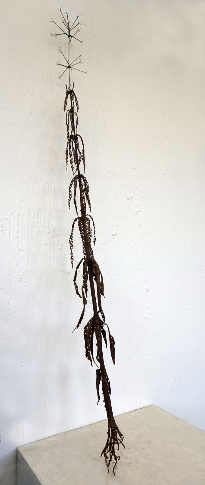 Dmitry Bulnygin, Single, from the series "Winter Herbarium", 2025