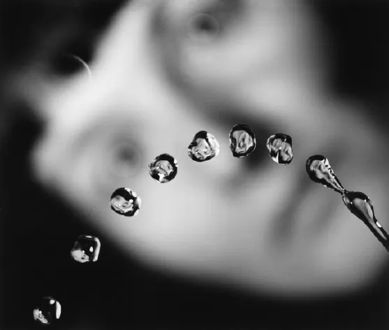 Susan Derges, Six Photographs, 2008