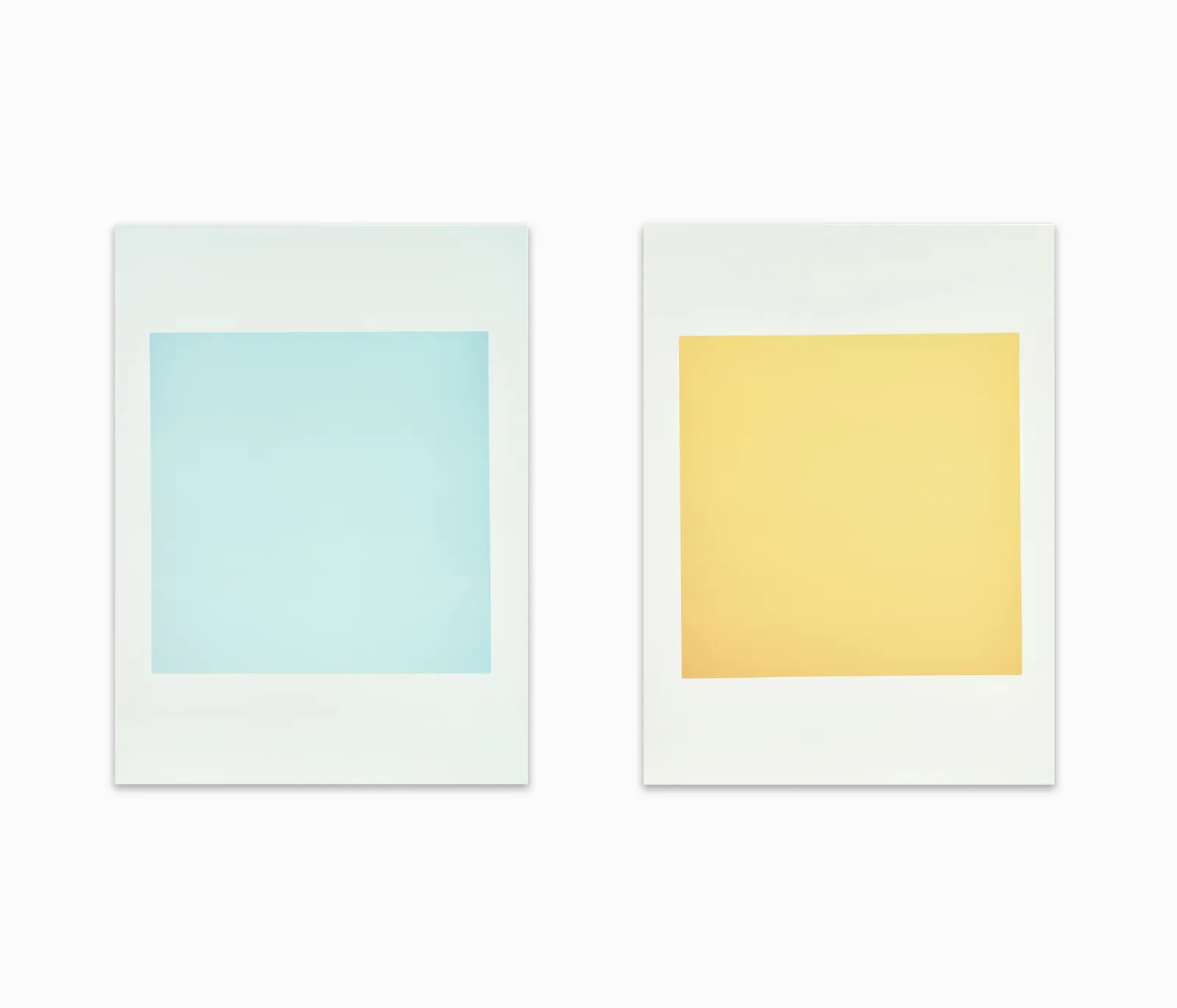 Garry Fabian Miller, Follower of the Ark (Diptych), 2020