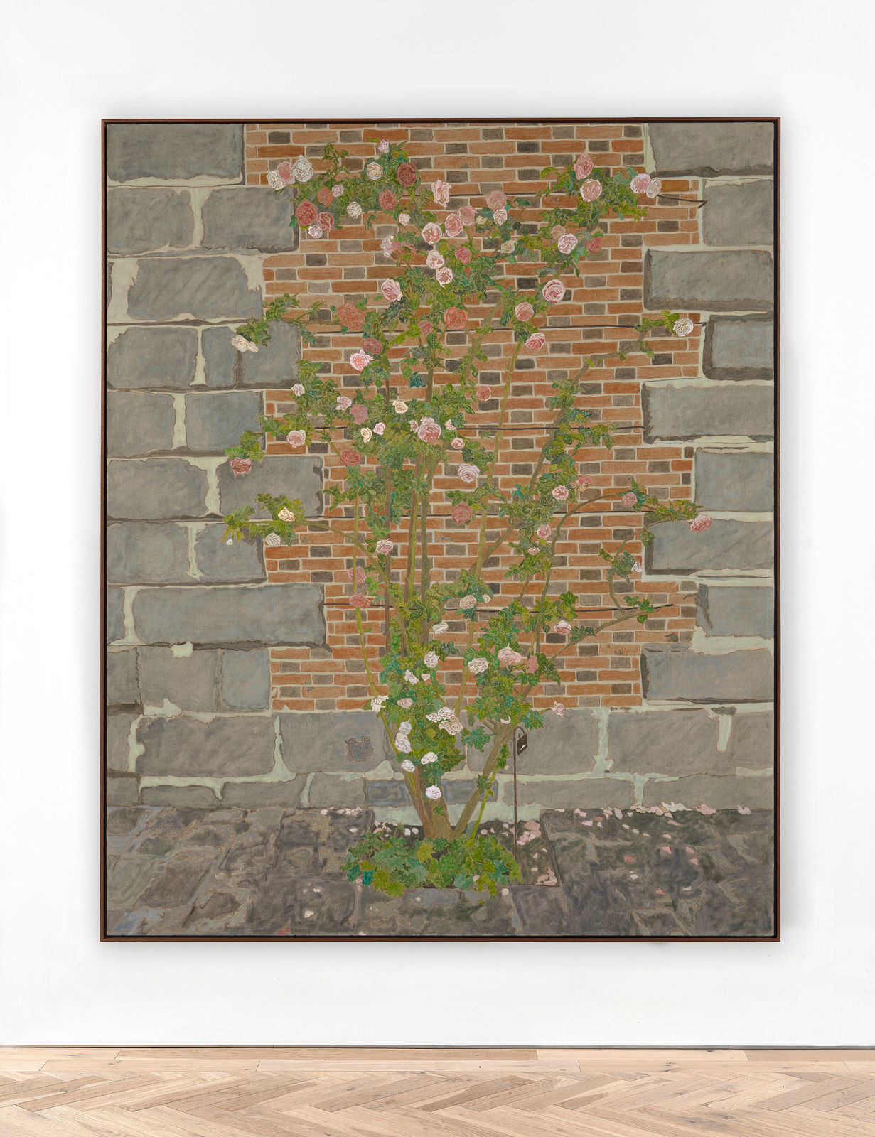 Hayley Barker, Climbing Roses, 2024