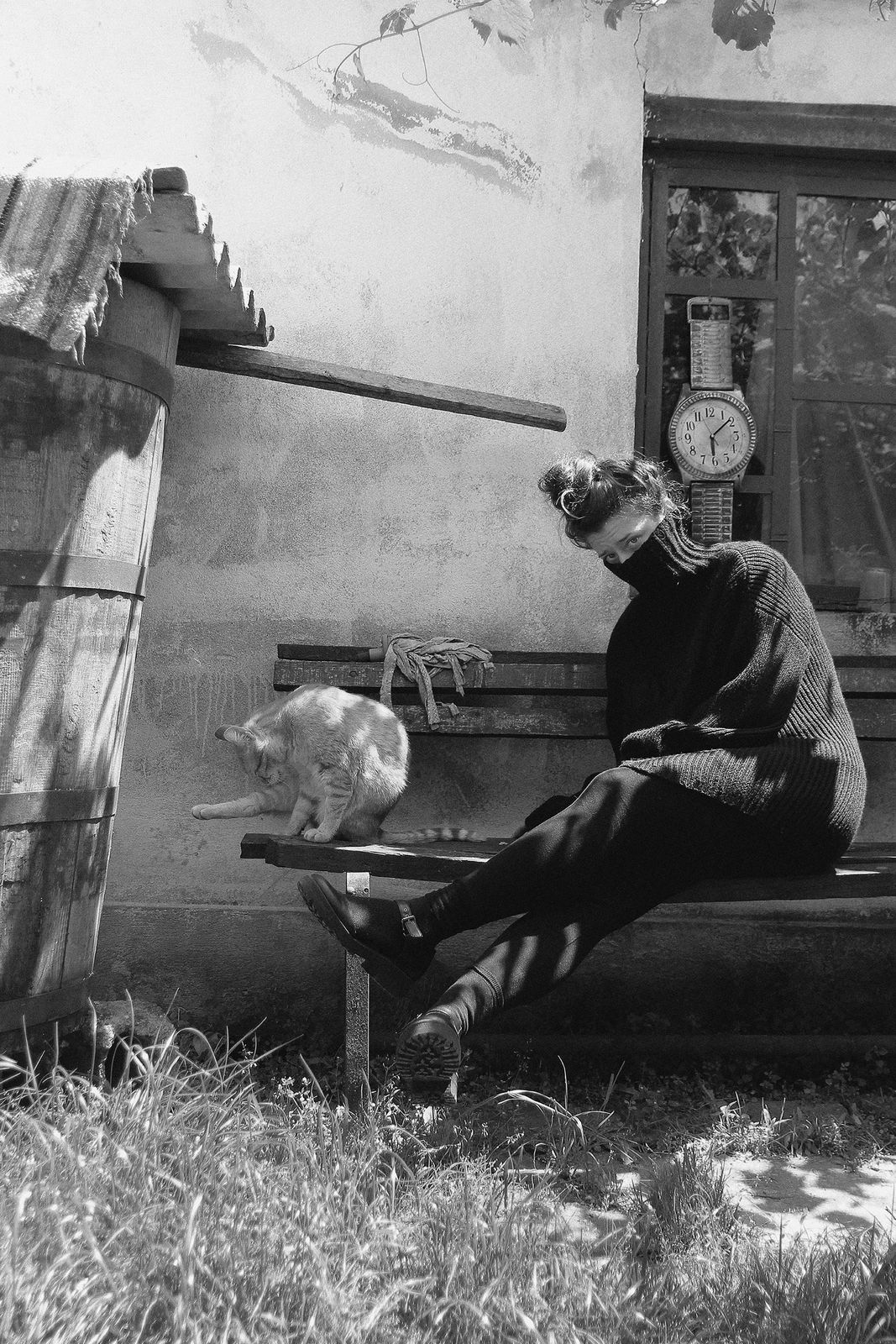 Oana Stanciu, Tigri, 2020