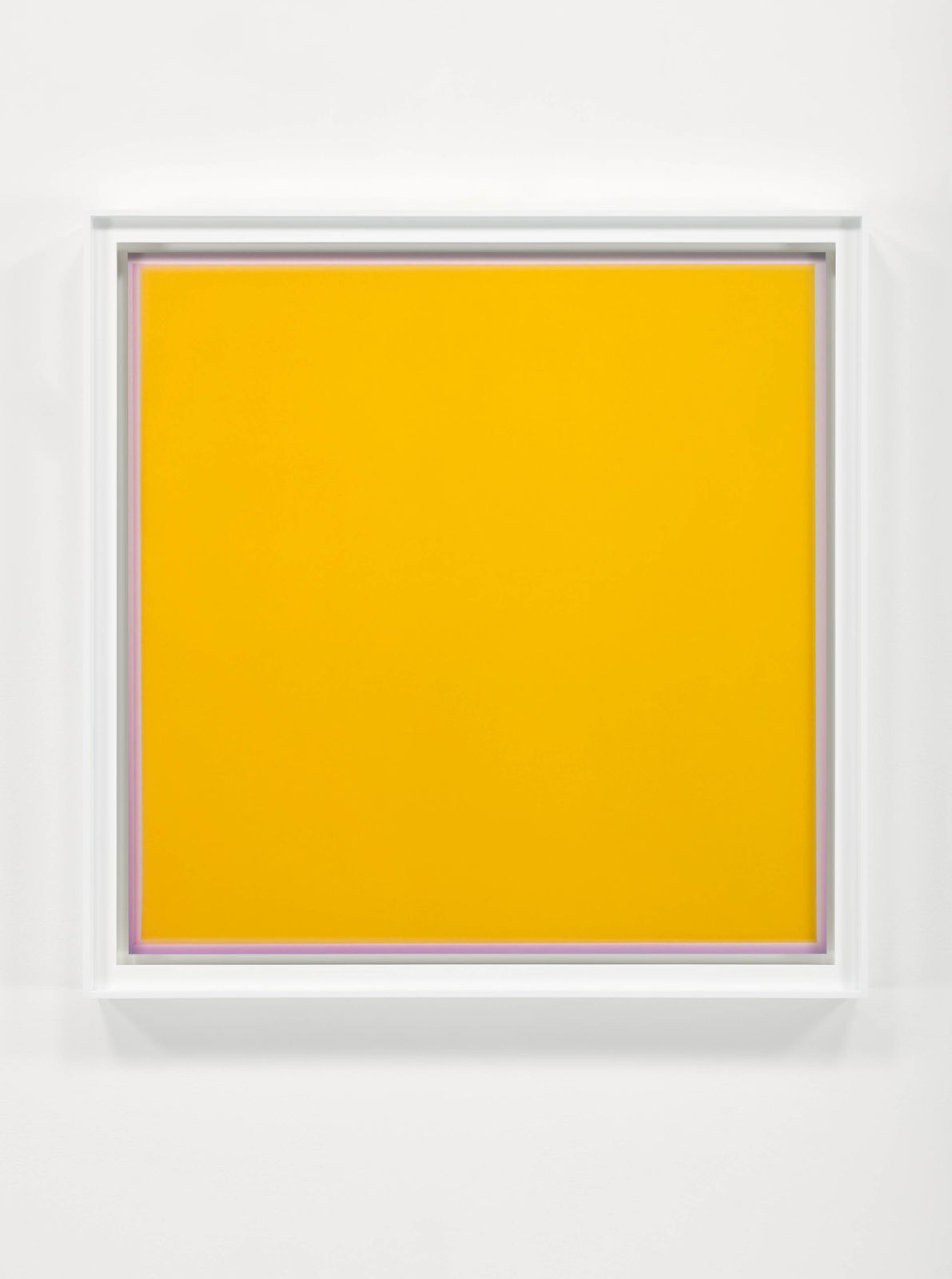 Garry Fabian Miller, A Colour Field Crop: Mauve holds Yellow, 2022