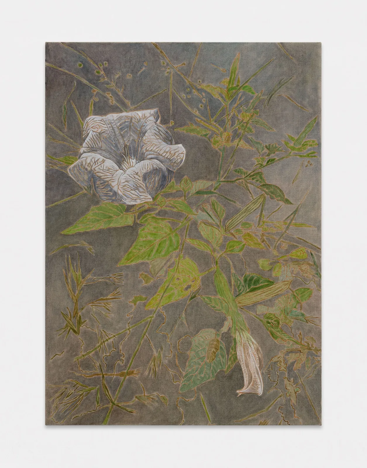 Hayley Barker, Jimsonweed 1, 2022