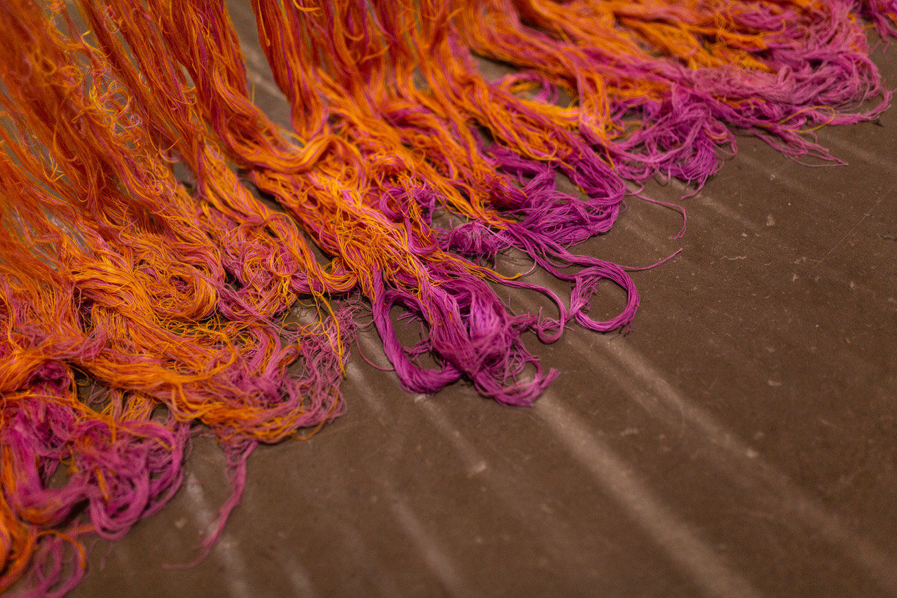 Garry Fabian Miller, Fused, Colour Fields, Pink becomes Gold, Gold becomes Pink, becomes…, 2022/2023