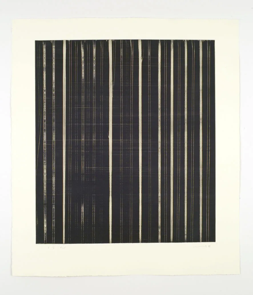 Callum Innes, R V, 2008