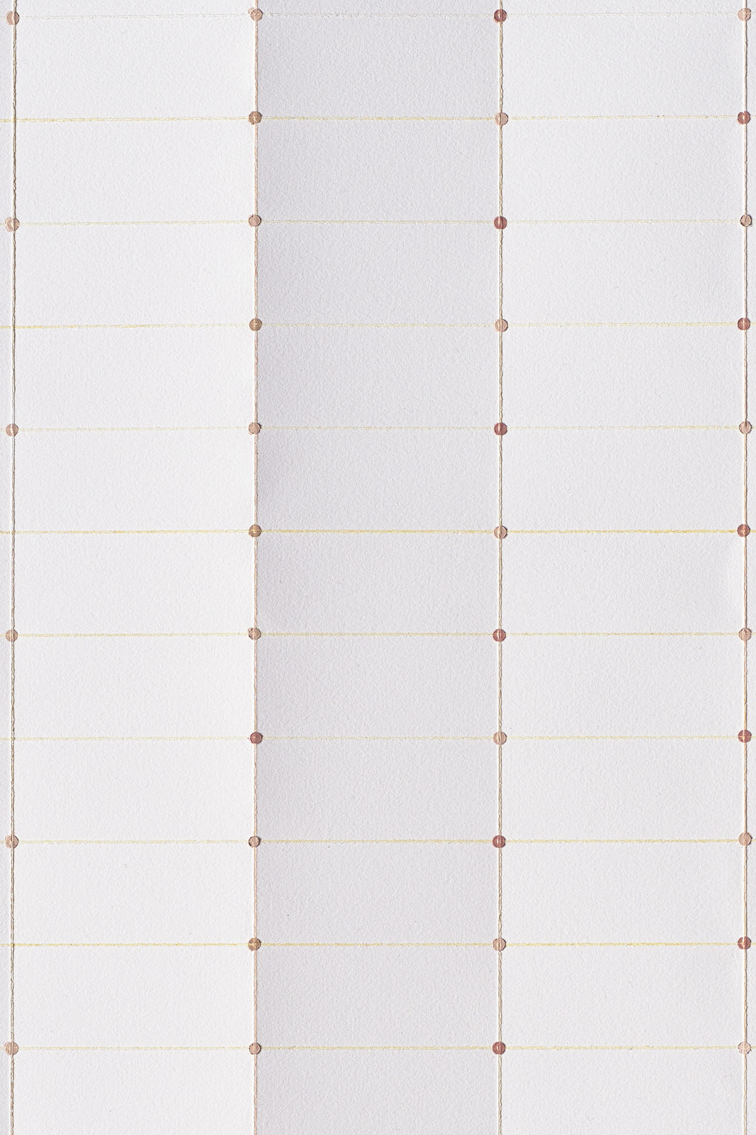 Charlene Scott, yellow grid, 2026