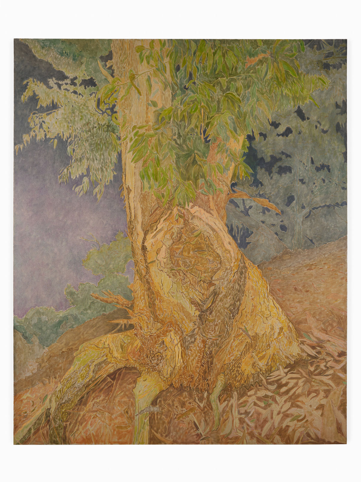 Hayley Barker, Lemon-Scented Gum, 2023