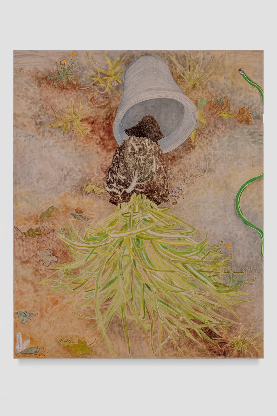 Hayley Barker, Repotting Spider Plant , 2022