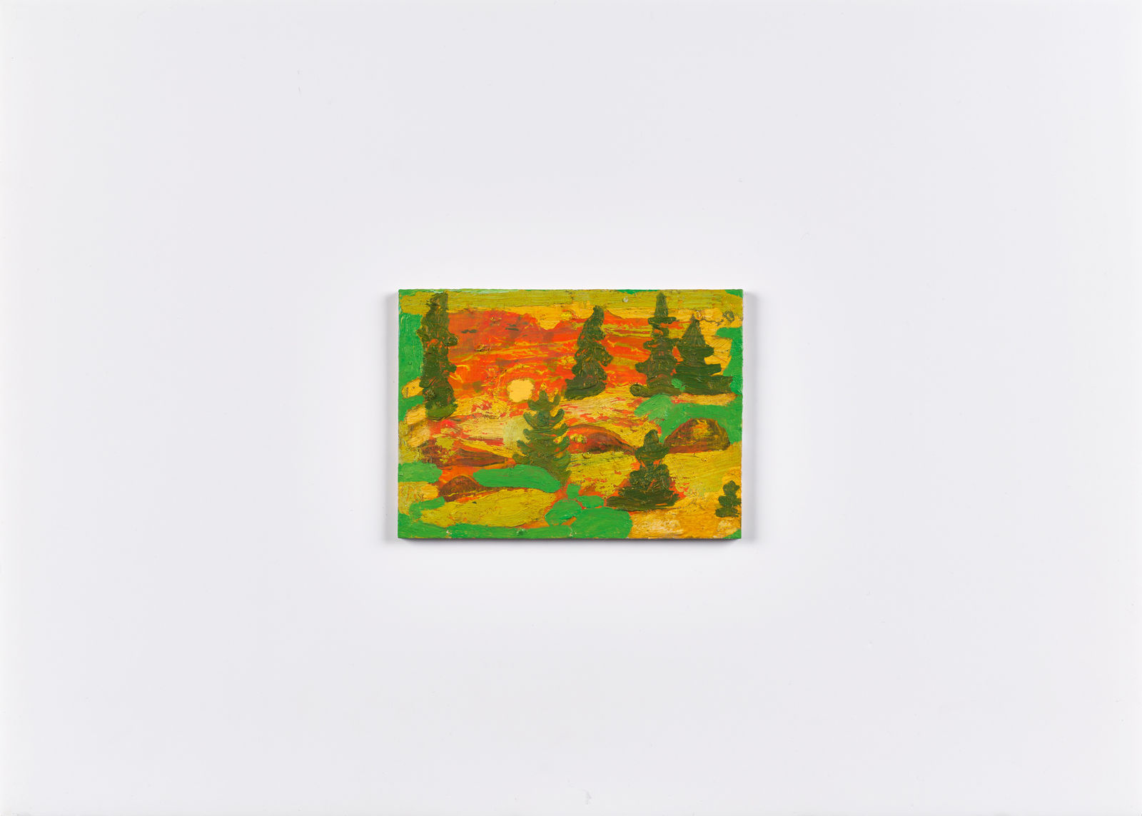 Catherine Ross, Lichen and Dwarfed Pines, 2023