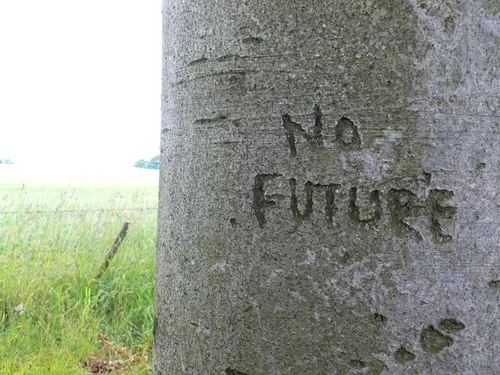 Andrew Miller, No Future, 2012