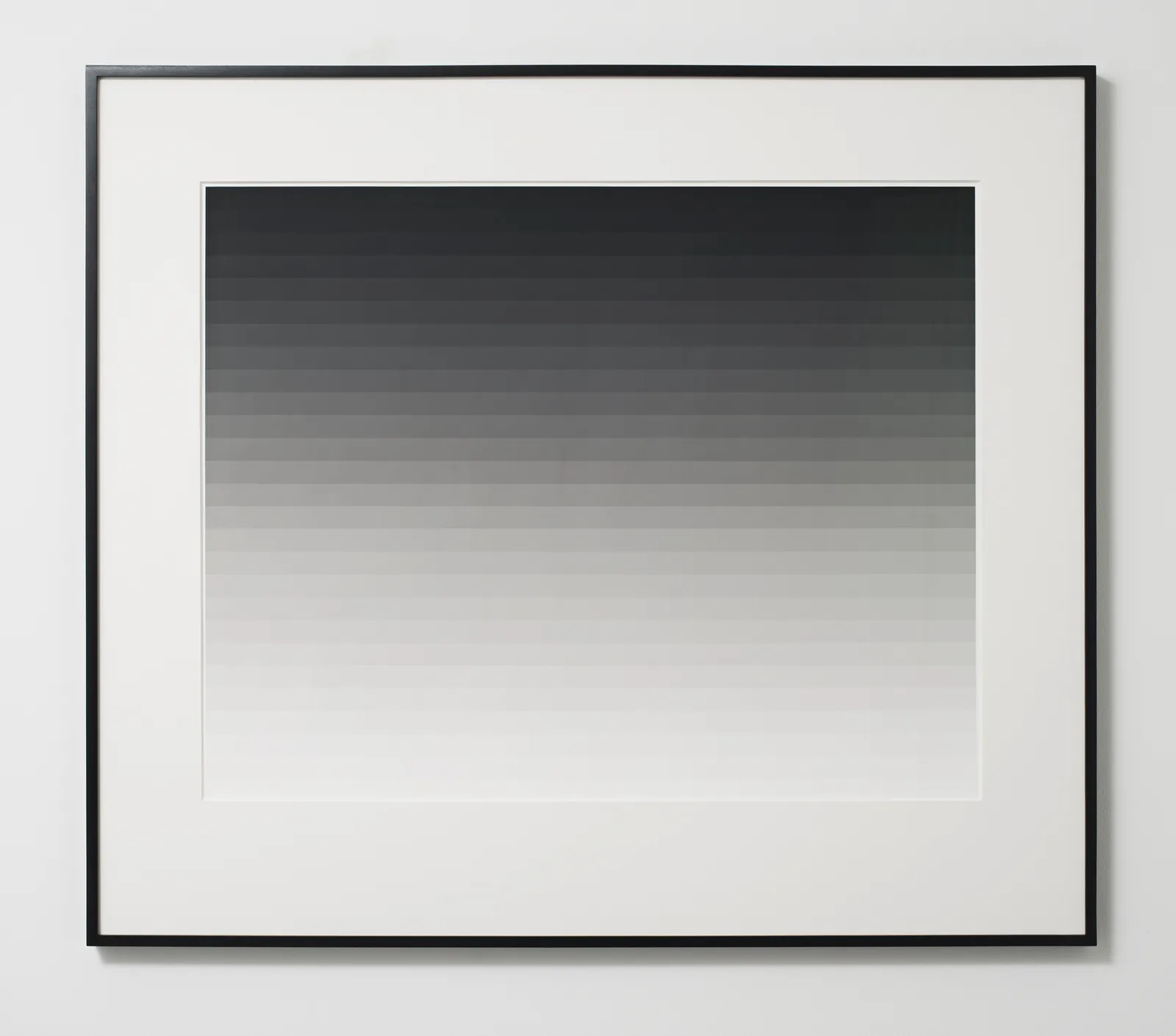 Iran do Espírito Santo, Photogram 3 (Horizontal), 2013