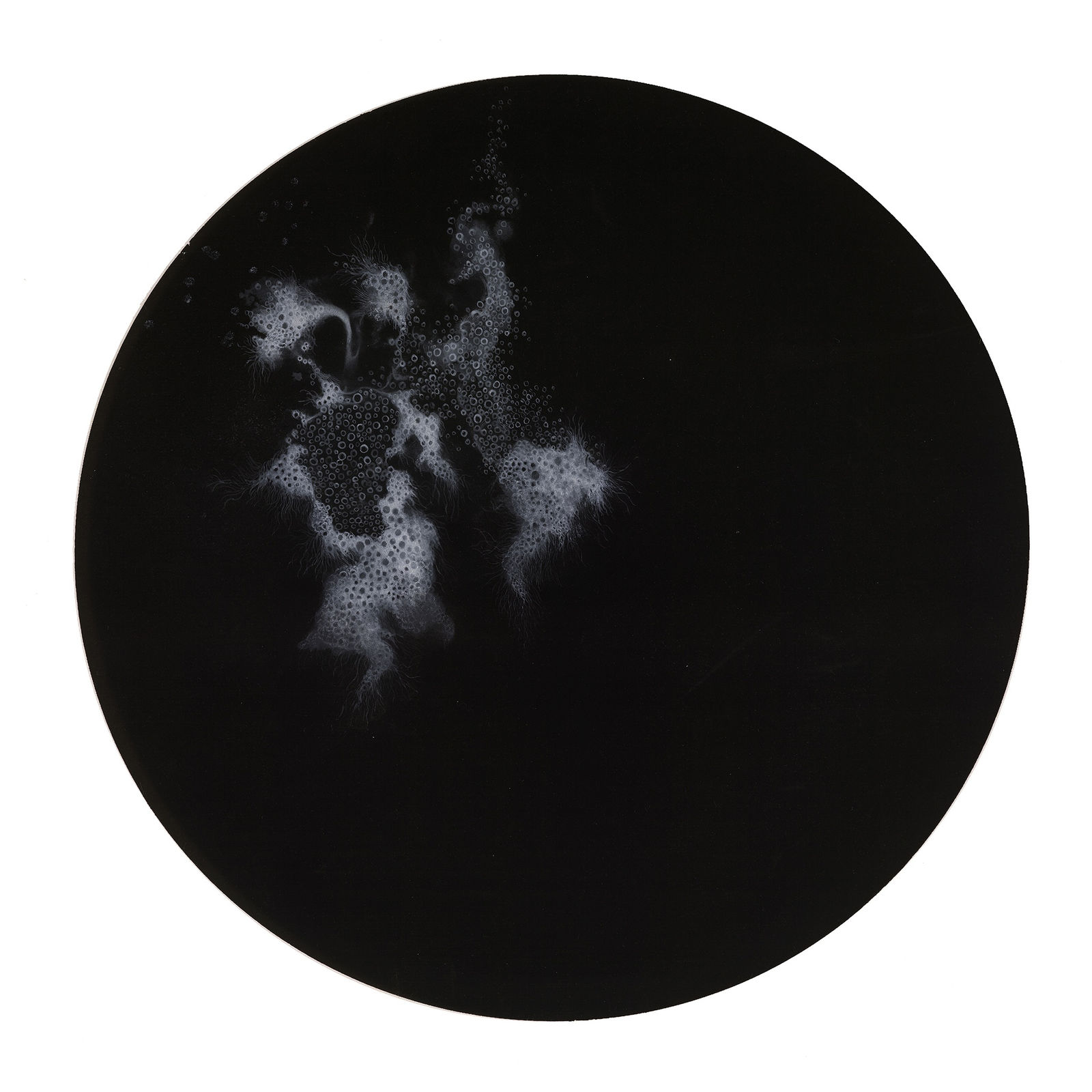 Bingyi 冰逸, 淣, 2015