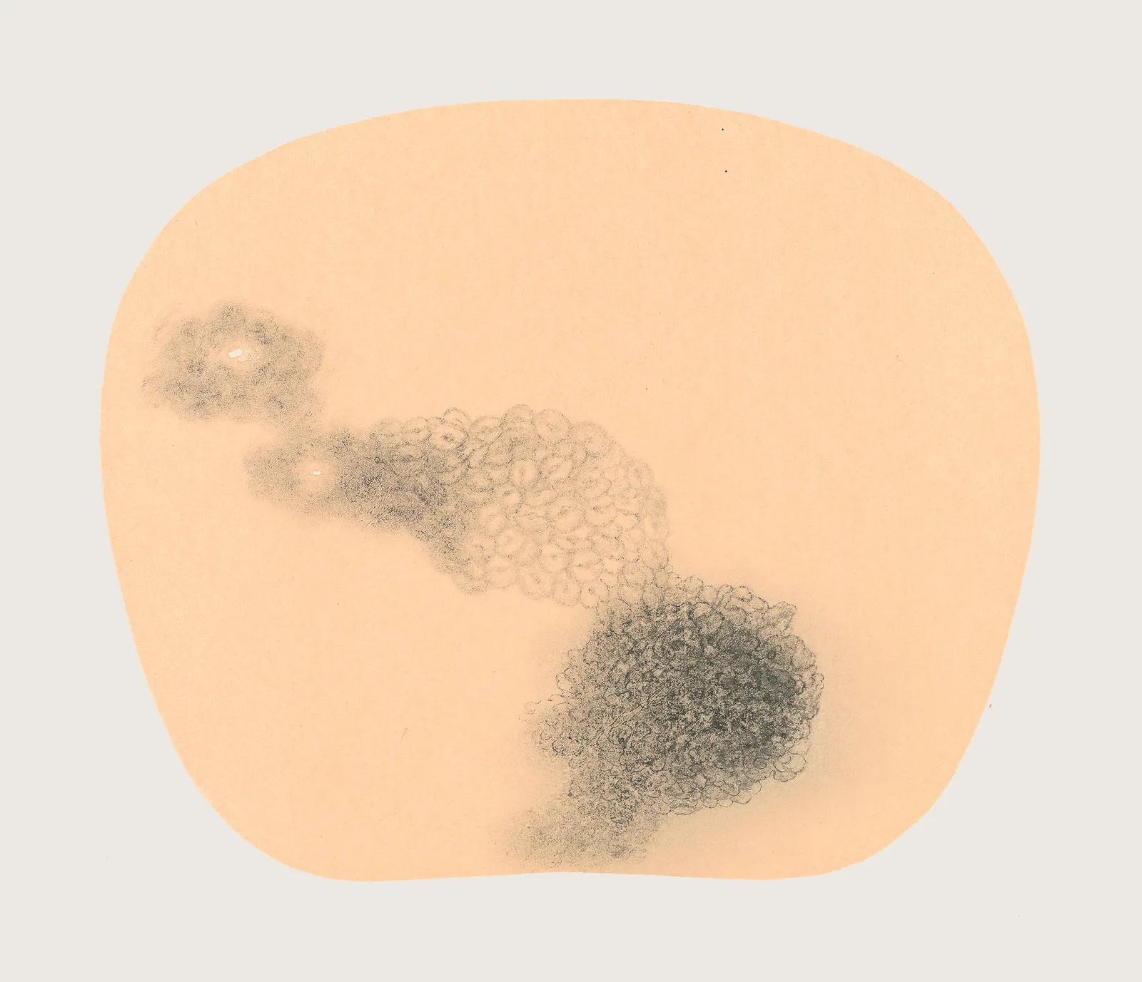 Bingyi 冰逸, Fairy of Elm Tree 榆妖, 2012-2016