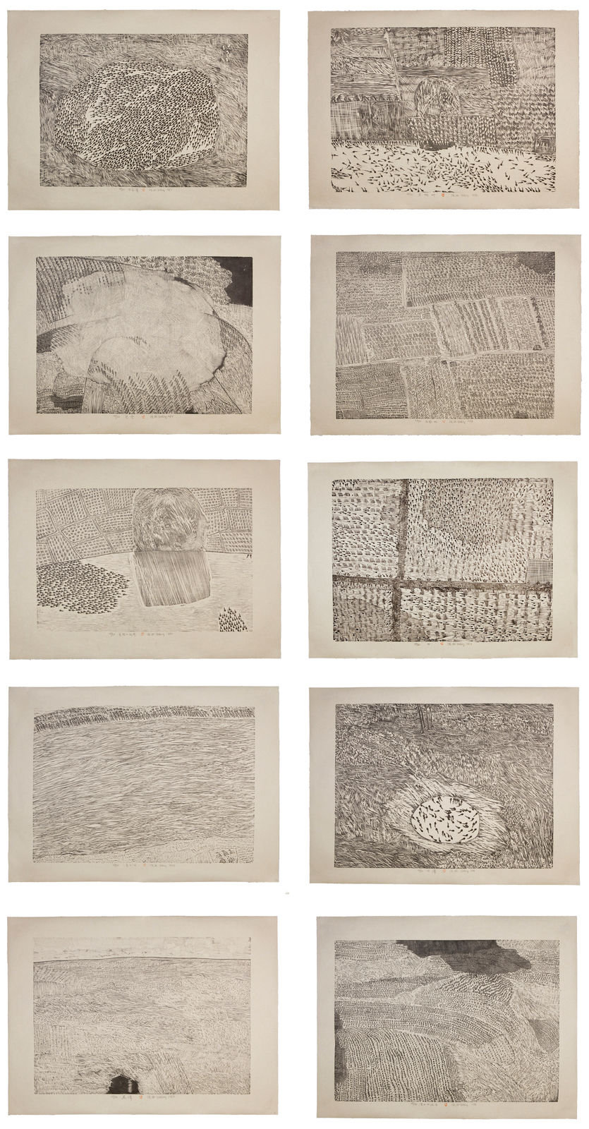 Xu Bing 徐冰, Series of Repetitions 复数系列 , 1988