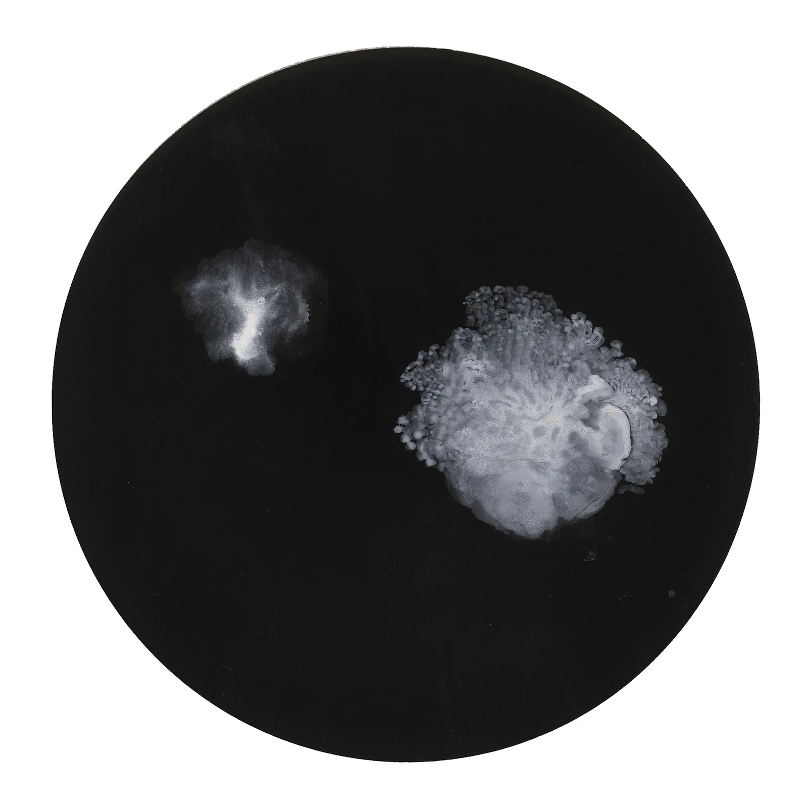 Bingyi 冰逸, 港, 2015