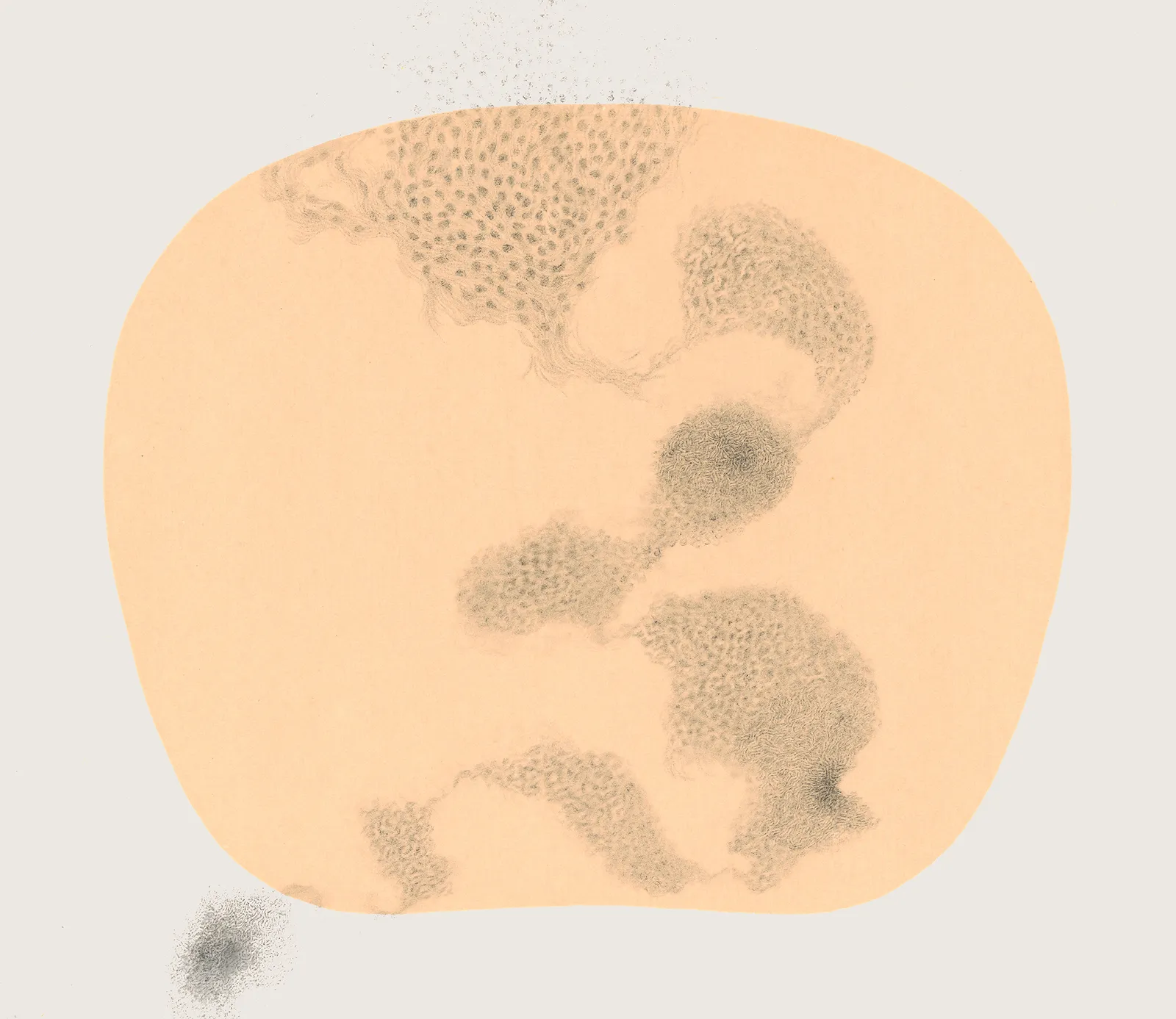 Bingyi 冰逸, Fairy of Flower Clusters 絮妖, 2012-2016