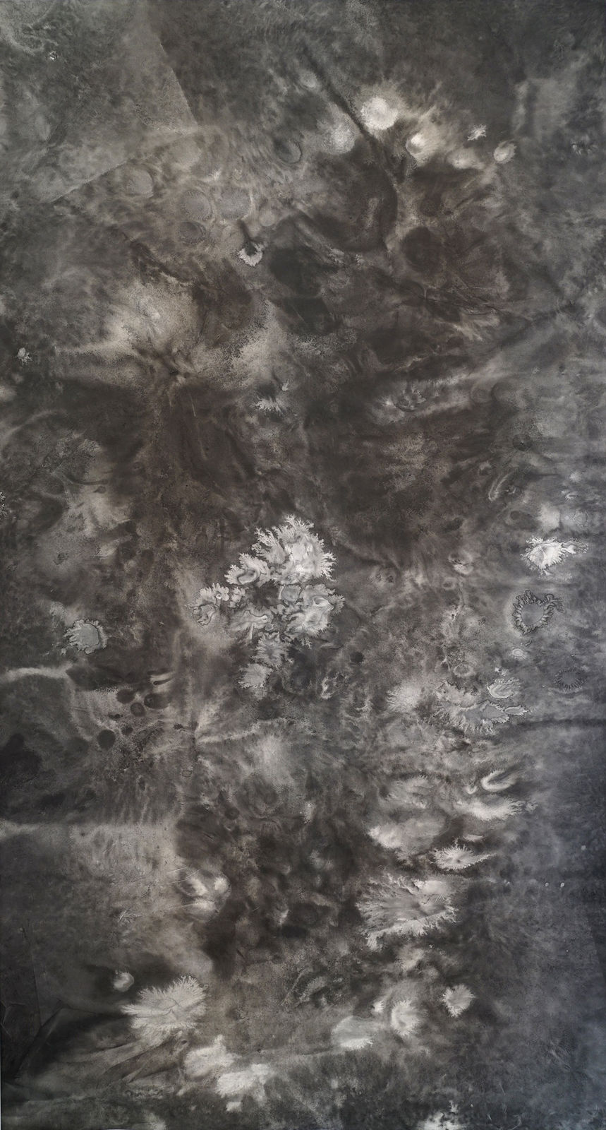 Bingyi 冰逸, The Seal of Muhamudra V 大手印之五, 2015