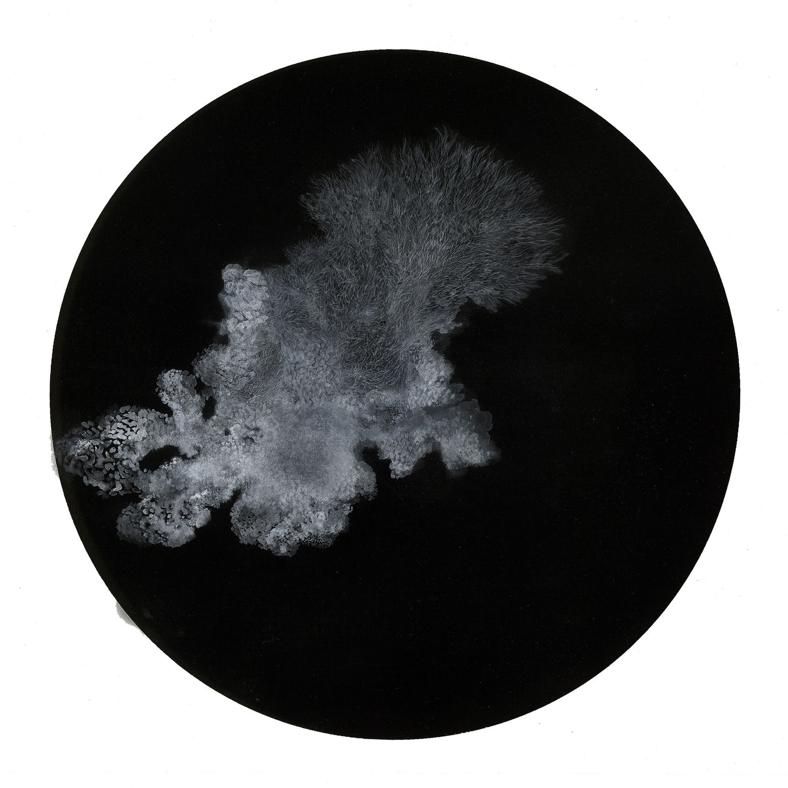 Bingyi 冰逸, 溎, 2013-2014