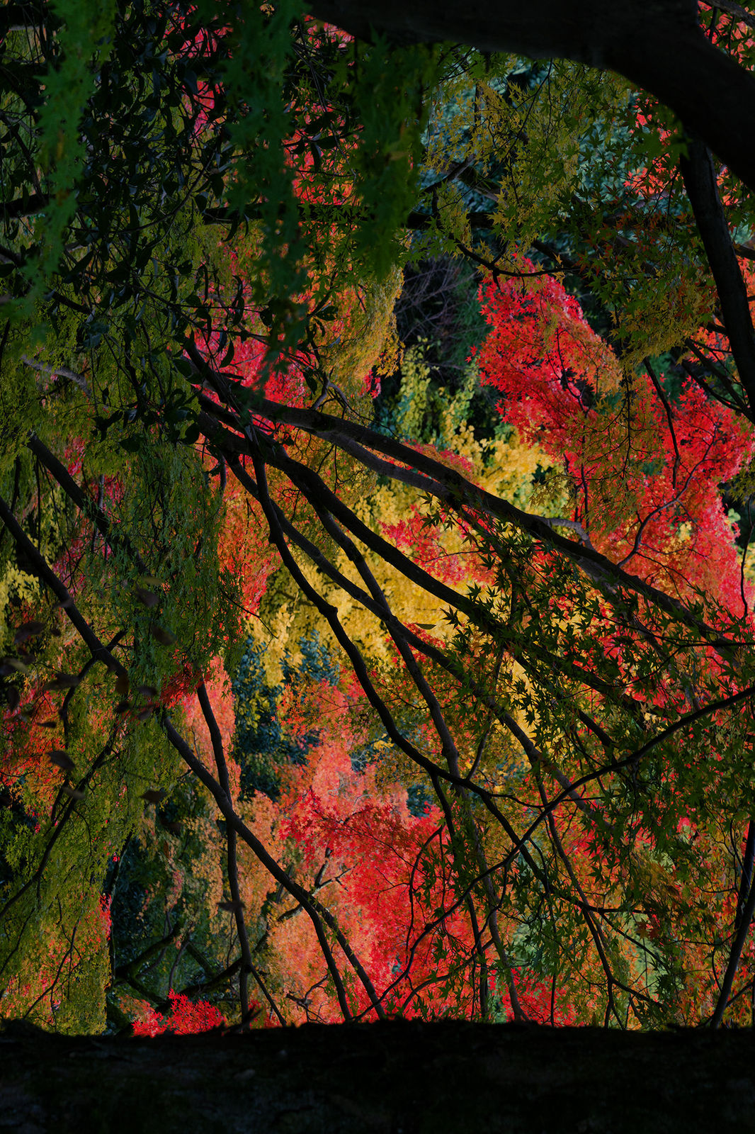 Albarrán Cabrera, The Mouth of Krishna SE #60109, 2016