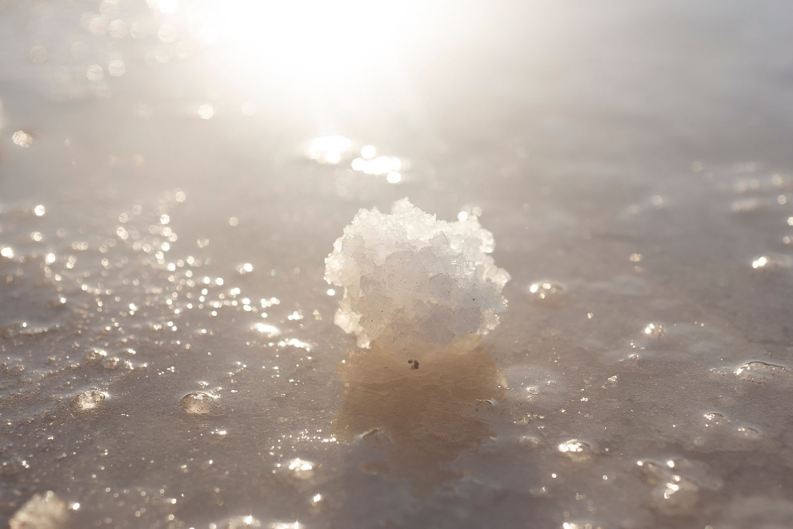 Maria Oliveira, De Vagar o Mar, Untitled, 2020