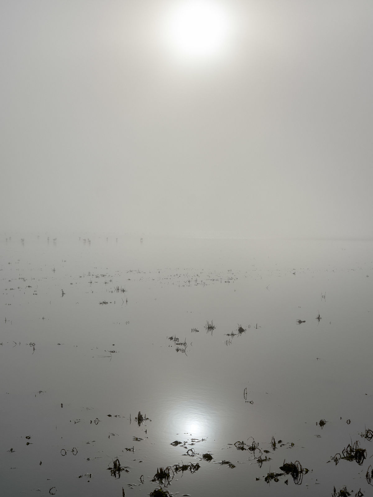 Nuno Cera, Janela Infinita #7, El Clot, Delta Ebro, 2022