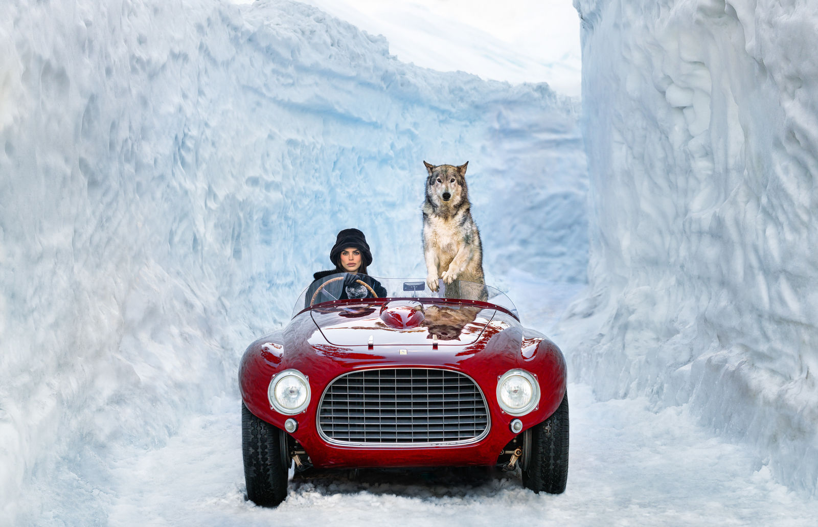 David Yarrow, 1953 (colour), 2024