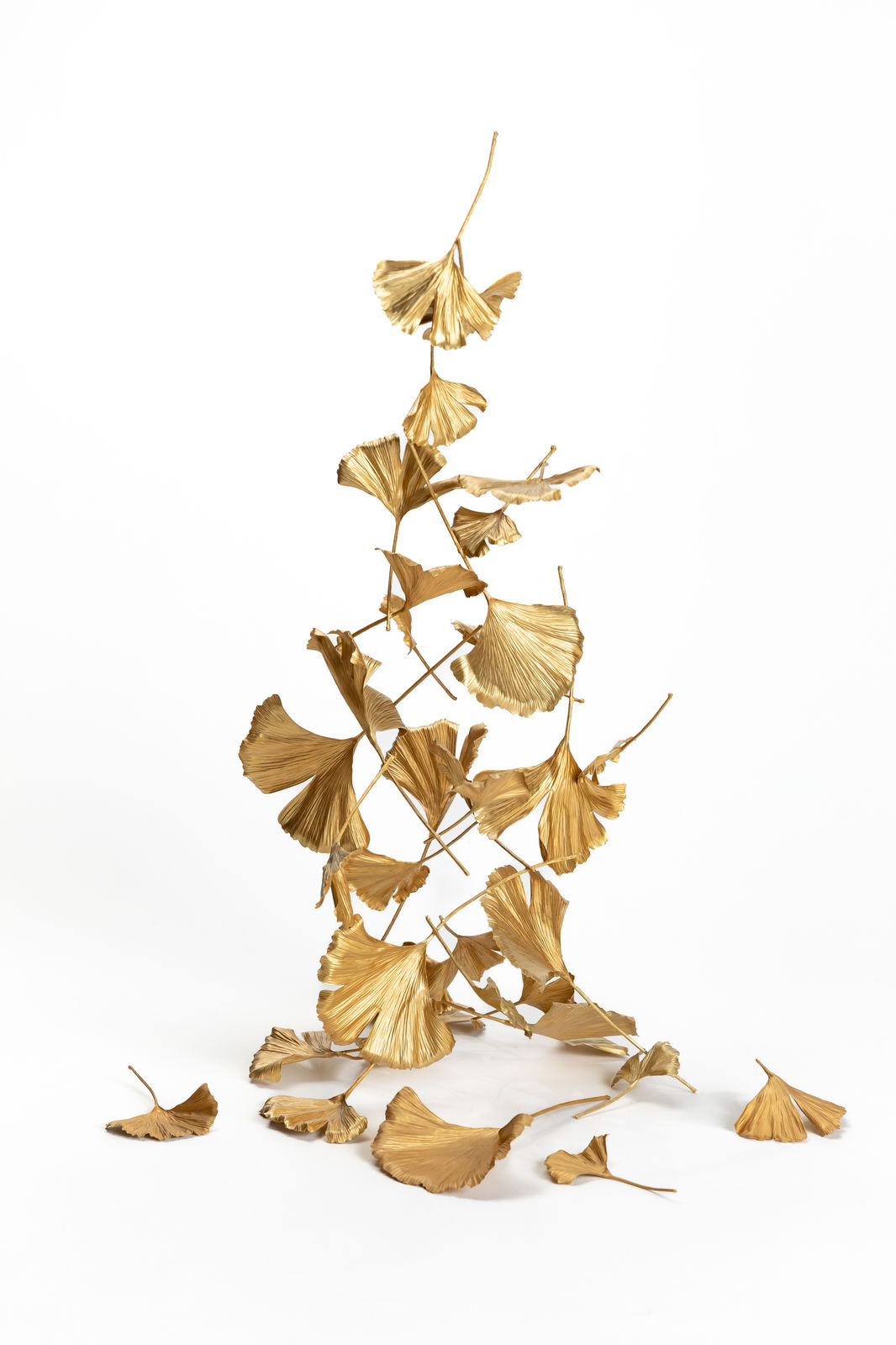 Shota Suzuki, "Blowing Leaves" Ginkgo イチョウの葉４枚付属, 2024
