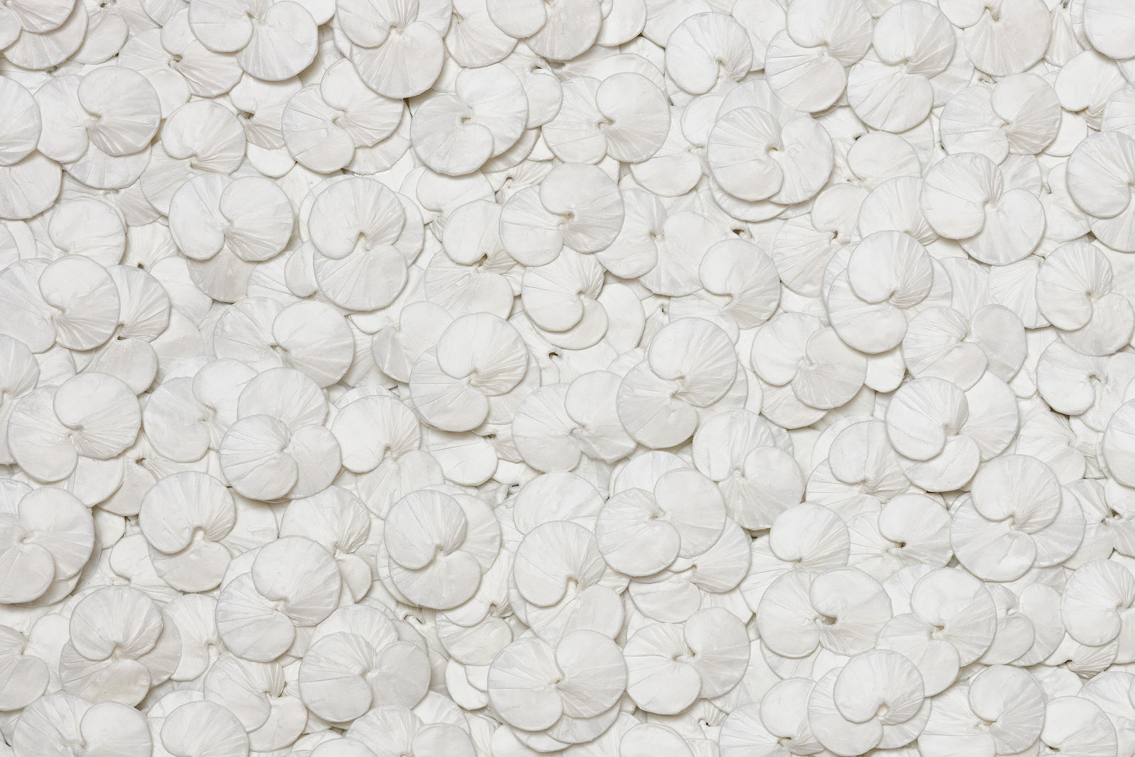 KAKU, Untitled 無題 , 2024