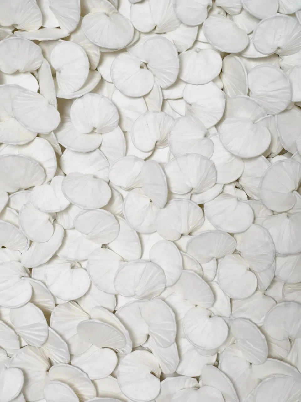 KAKU, "Untitled" S30-K, 2025