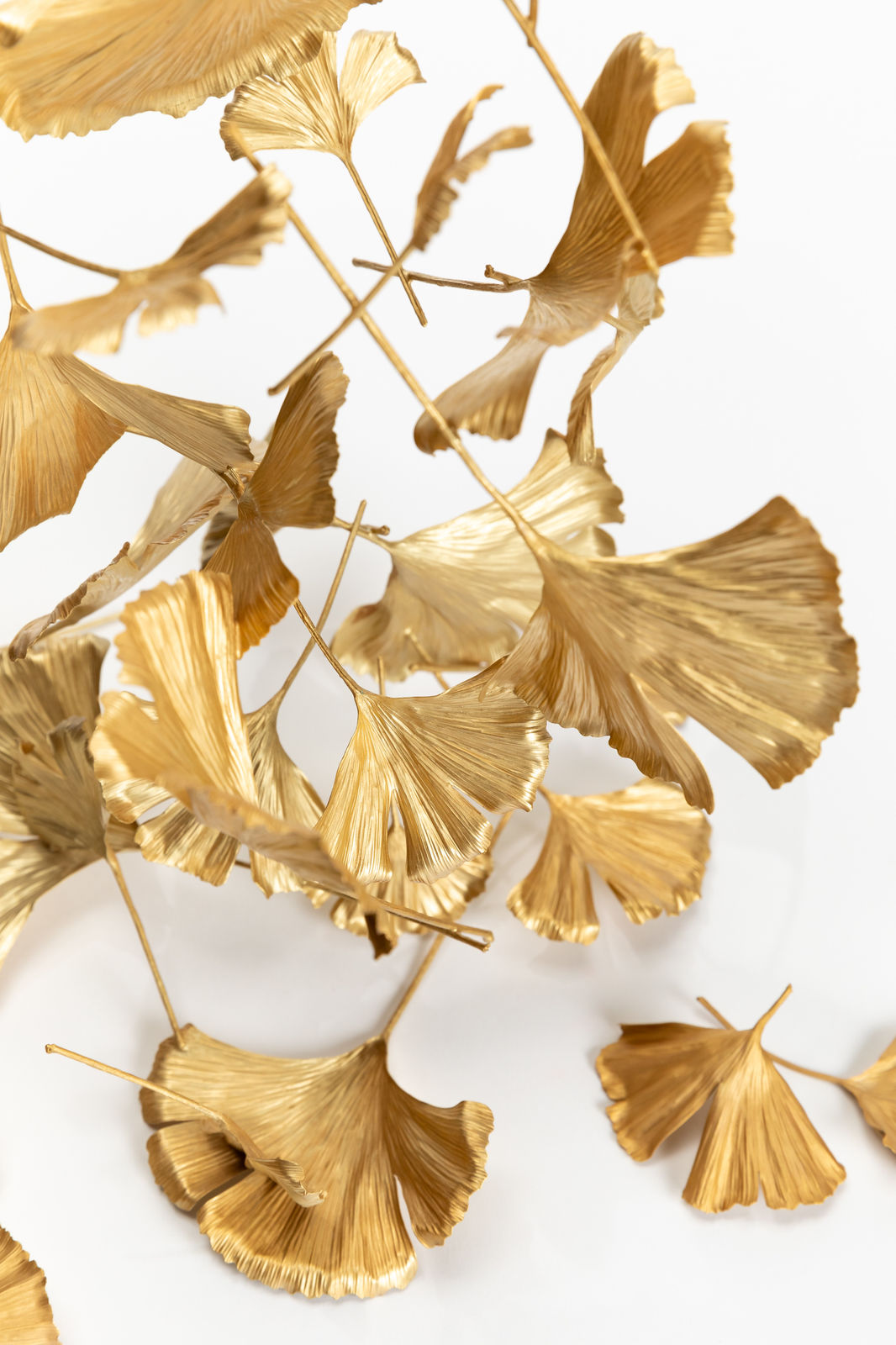 Shota Suzuki, "Blowing Leaves" Ginkgo イチョウの葉４枚付属, 2024
