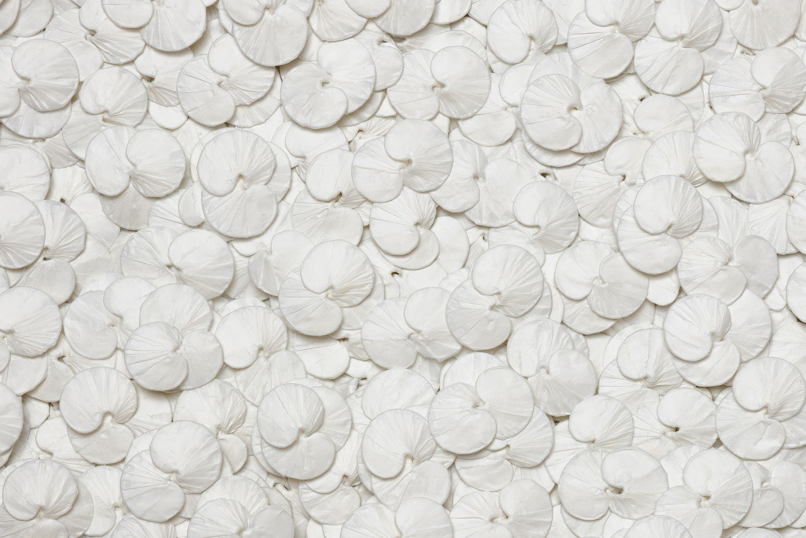 KAKU, Untitled 無題 , 2024