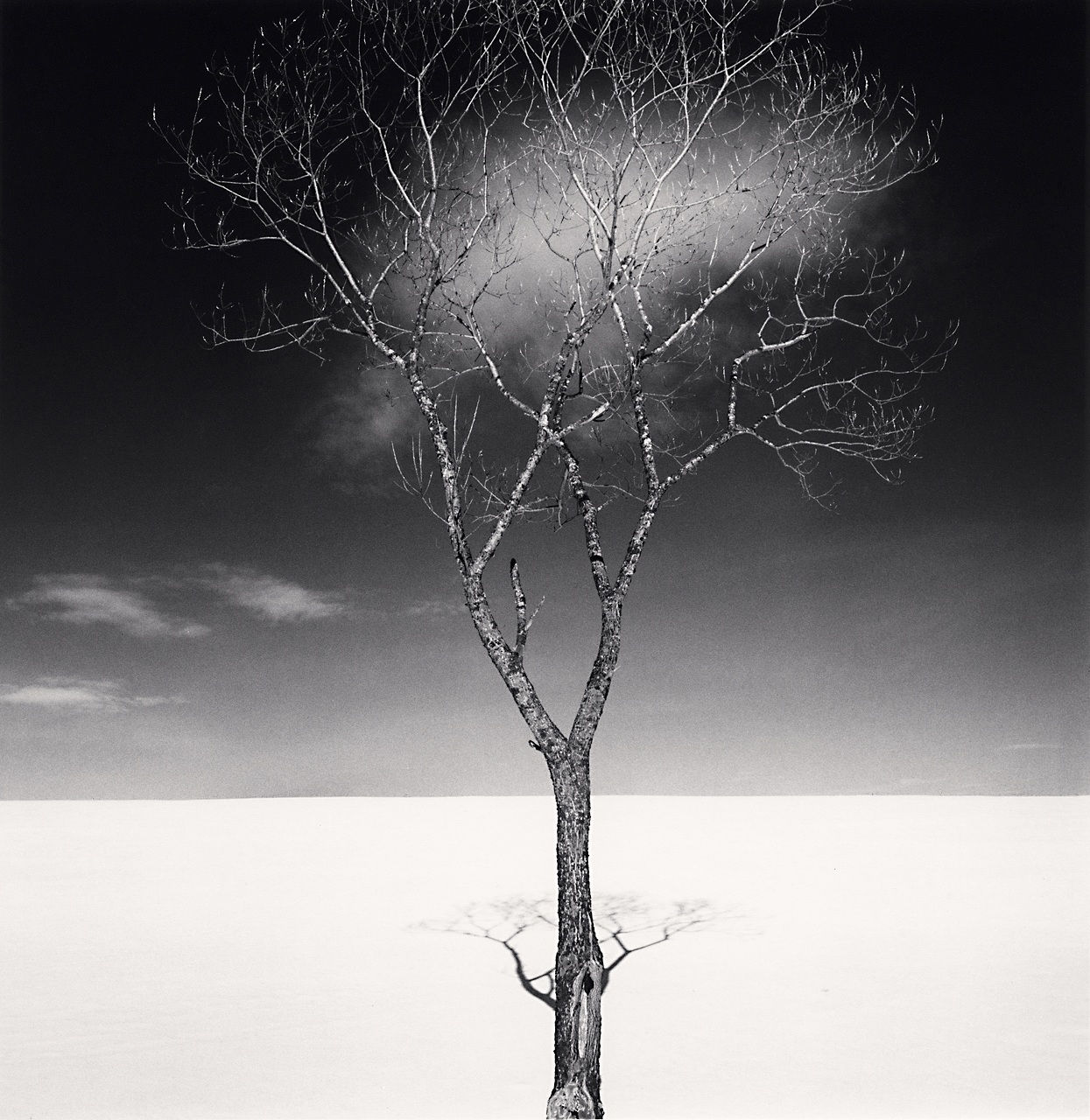 Michael Kenna, Onishi Tree Shadow and Clouds, Study 2, Hokkaido, Japan, 2023
