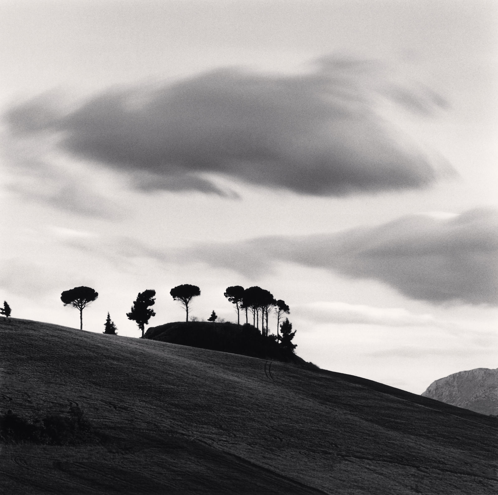 Michael Kenna, Pine Trees at Dusk, Loreto Aprutino, Abruzzo, Italy, 2016