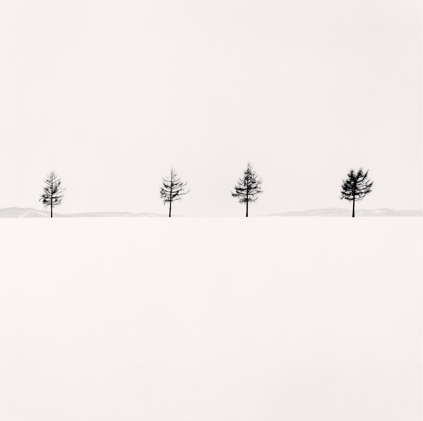 Michael Kenna, Kurosawa's Trees, Study 1, Memanbetsu, Hokkaido, Japan, 2004