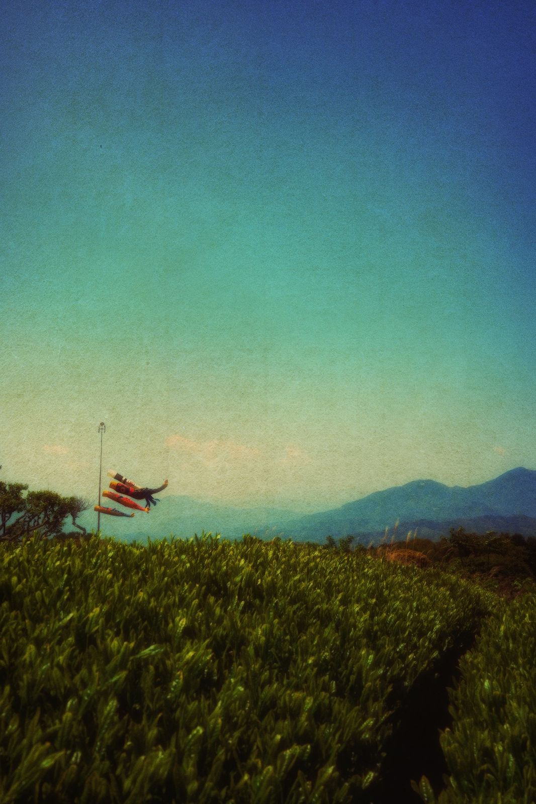 Albarrán Cabrera, The Mouth of Krishna, #784, 2018