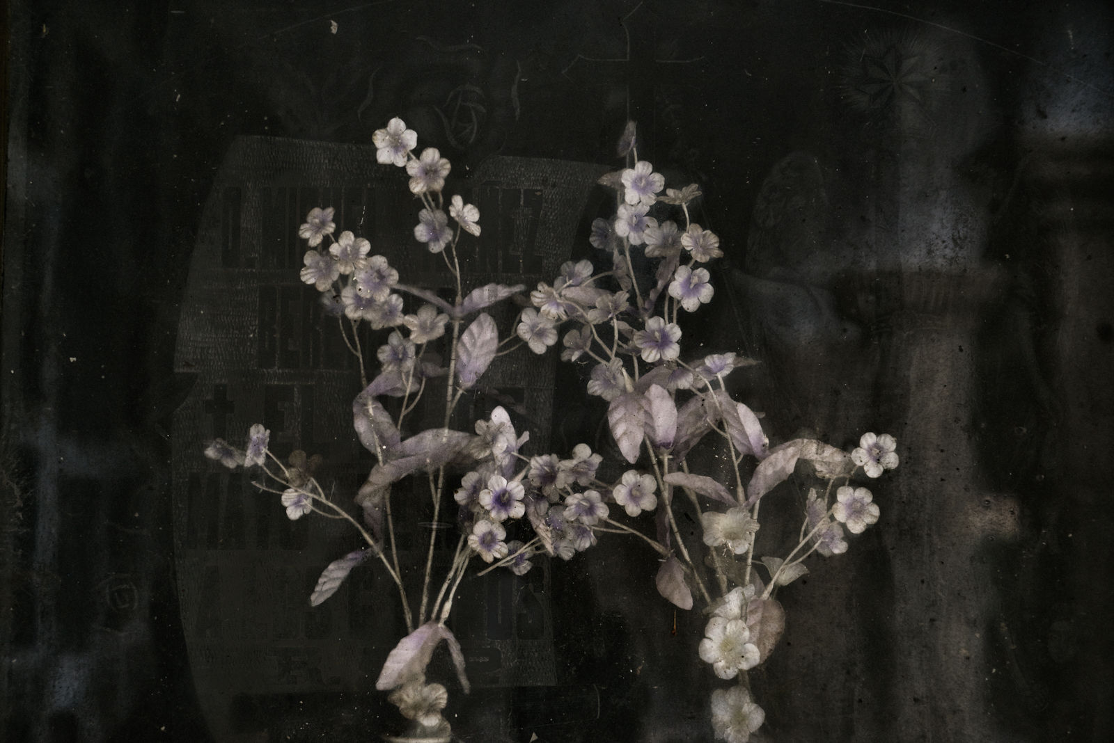 Christopher Thomas, Eternity 31, Barcelona, Spain, 2005