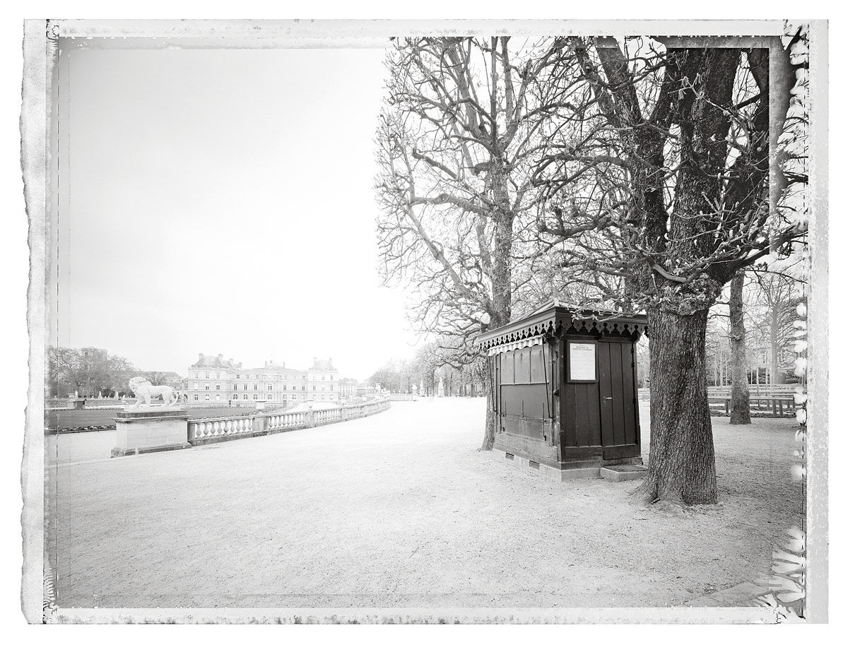 Christopher Thomas, Jardin du Luxembourg I, Paris, 2014