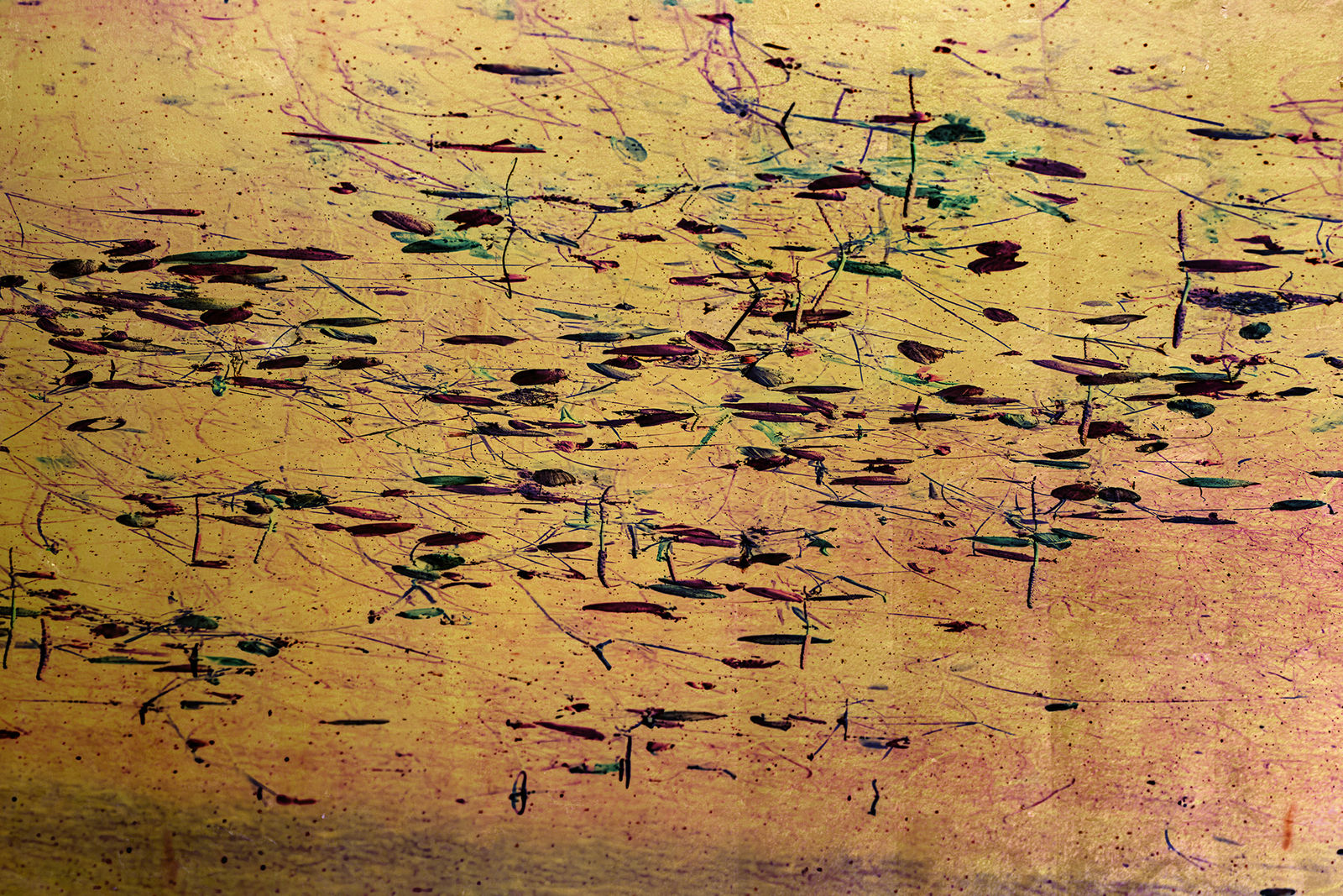 Albarrán Cabrera, The Indestructible #70027, 2022