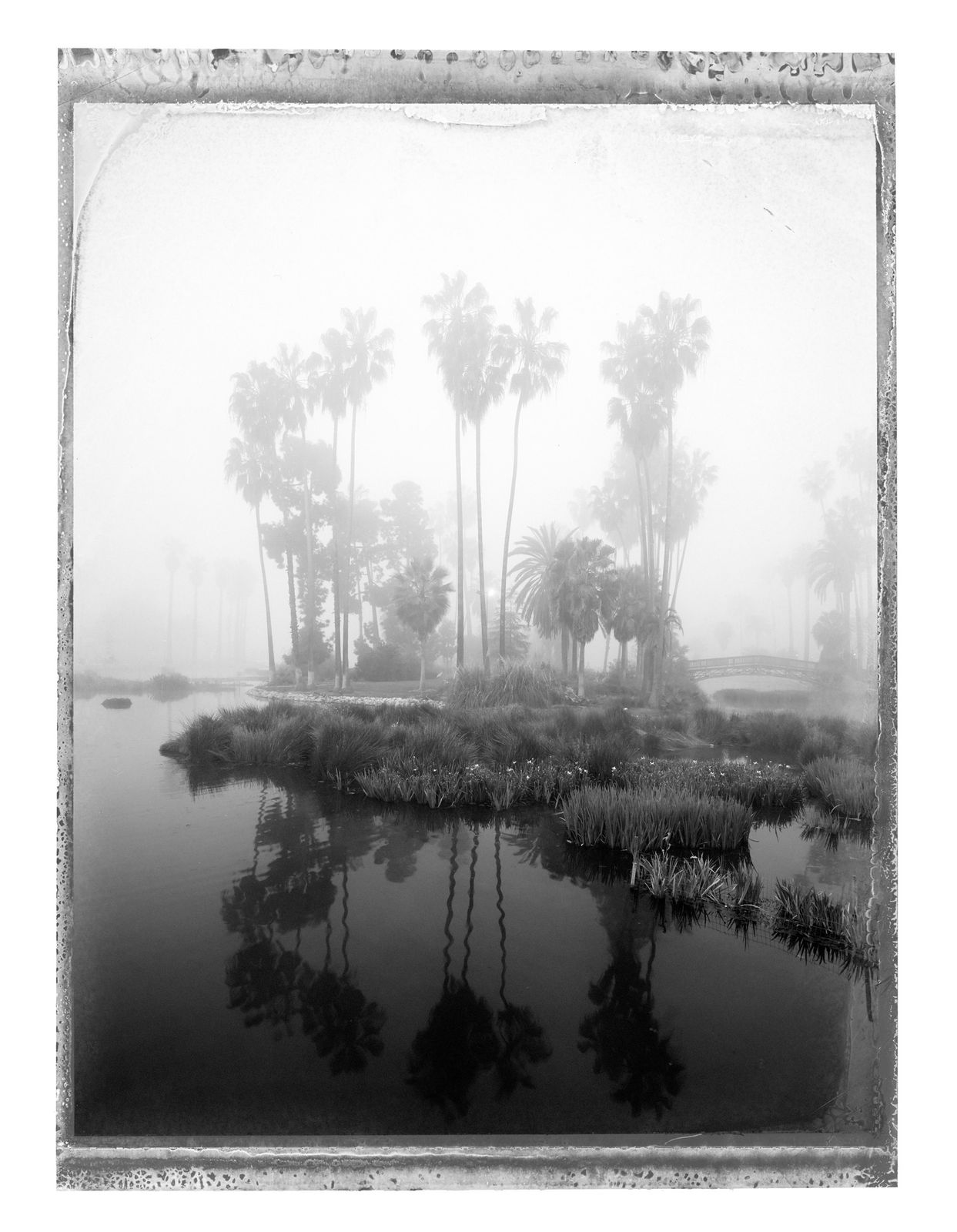 Christopher Thomas, Echo Park, Los Angeles, 2017
