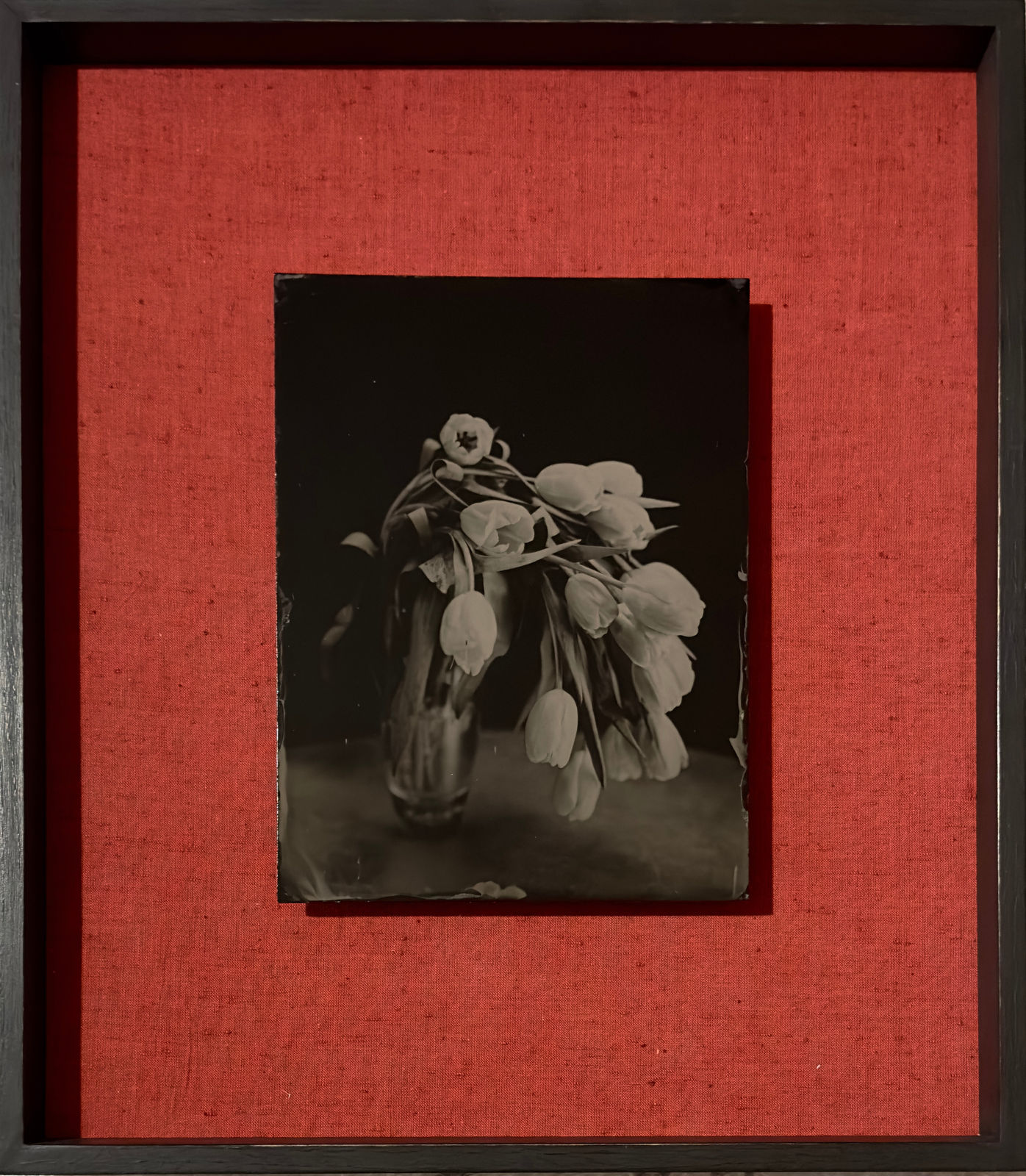 Steffen Diemer, Tulpen, WVZ 61, 2019