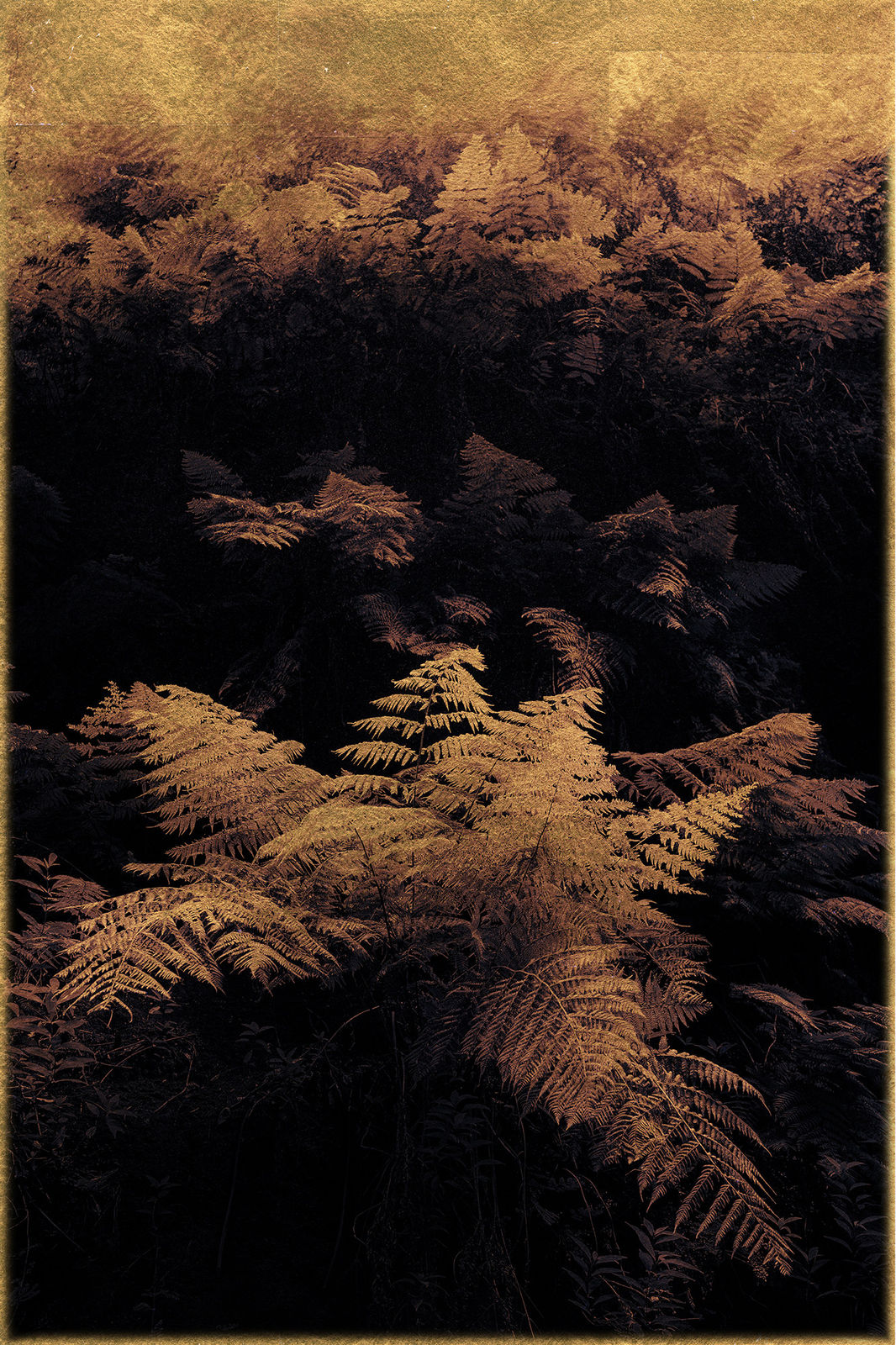 Albarrán Cabrera, The Mouth of Krishna #956, 2017