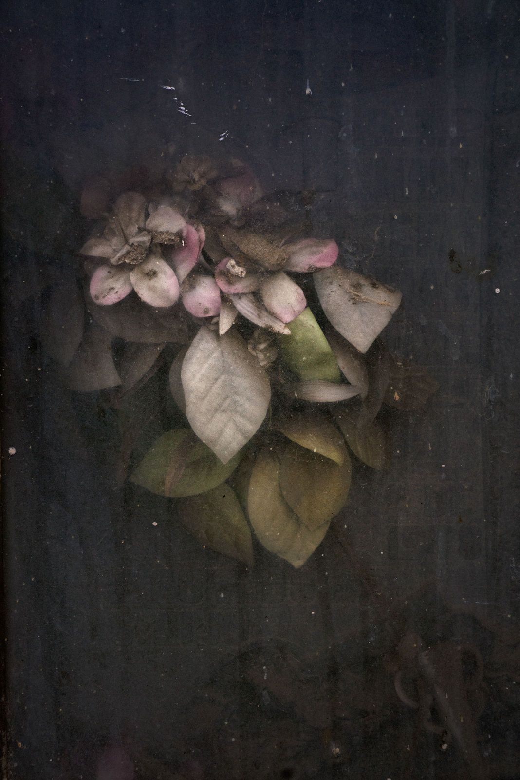 Christopher Thomas, Eternity 81, Barcelona, Spain, 2010