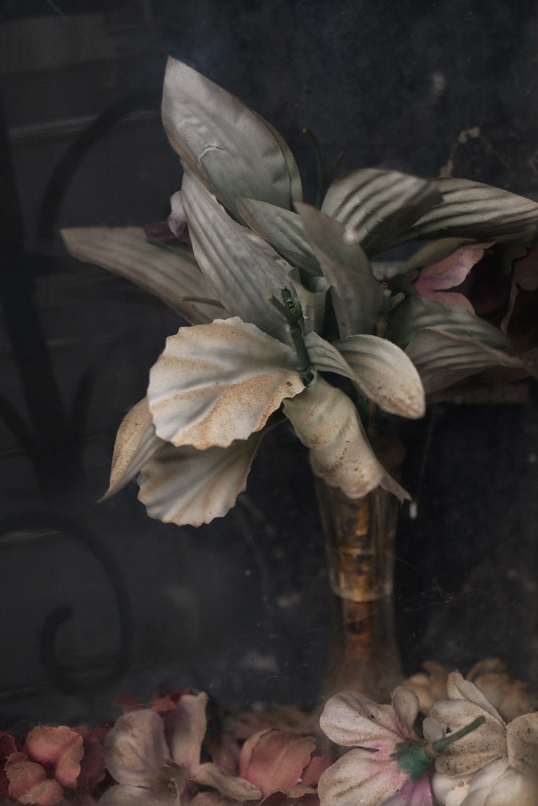 Christopher Thomas, Eternity 19, Barcelona, Spain, 2010