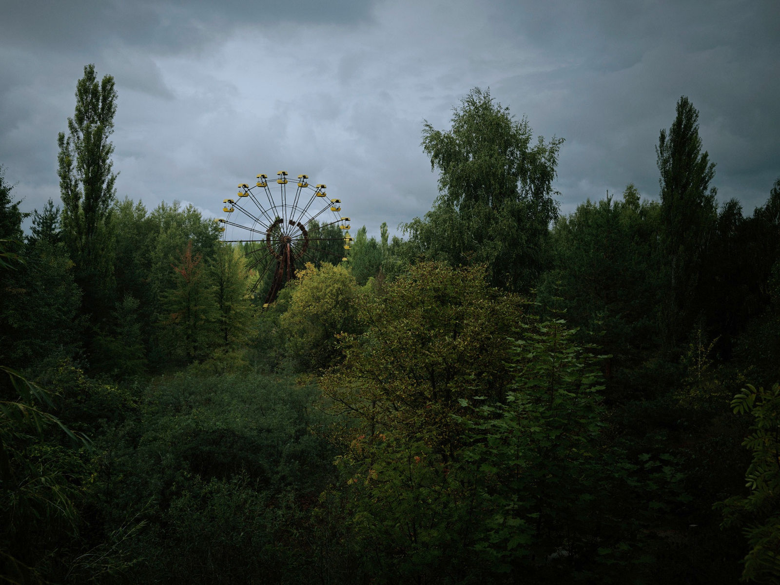 Christopher Thomas, Bittersweet 51, 2015