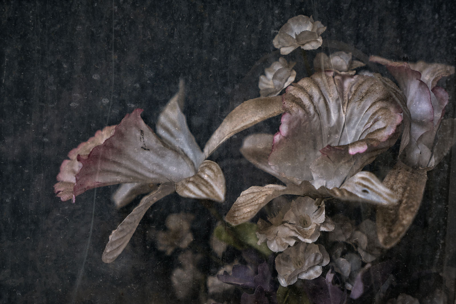 Christopher Thomas, Eternity 76, Cordoba, Spain, 2008