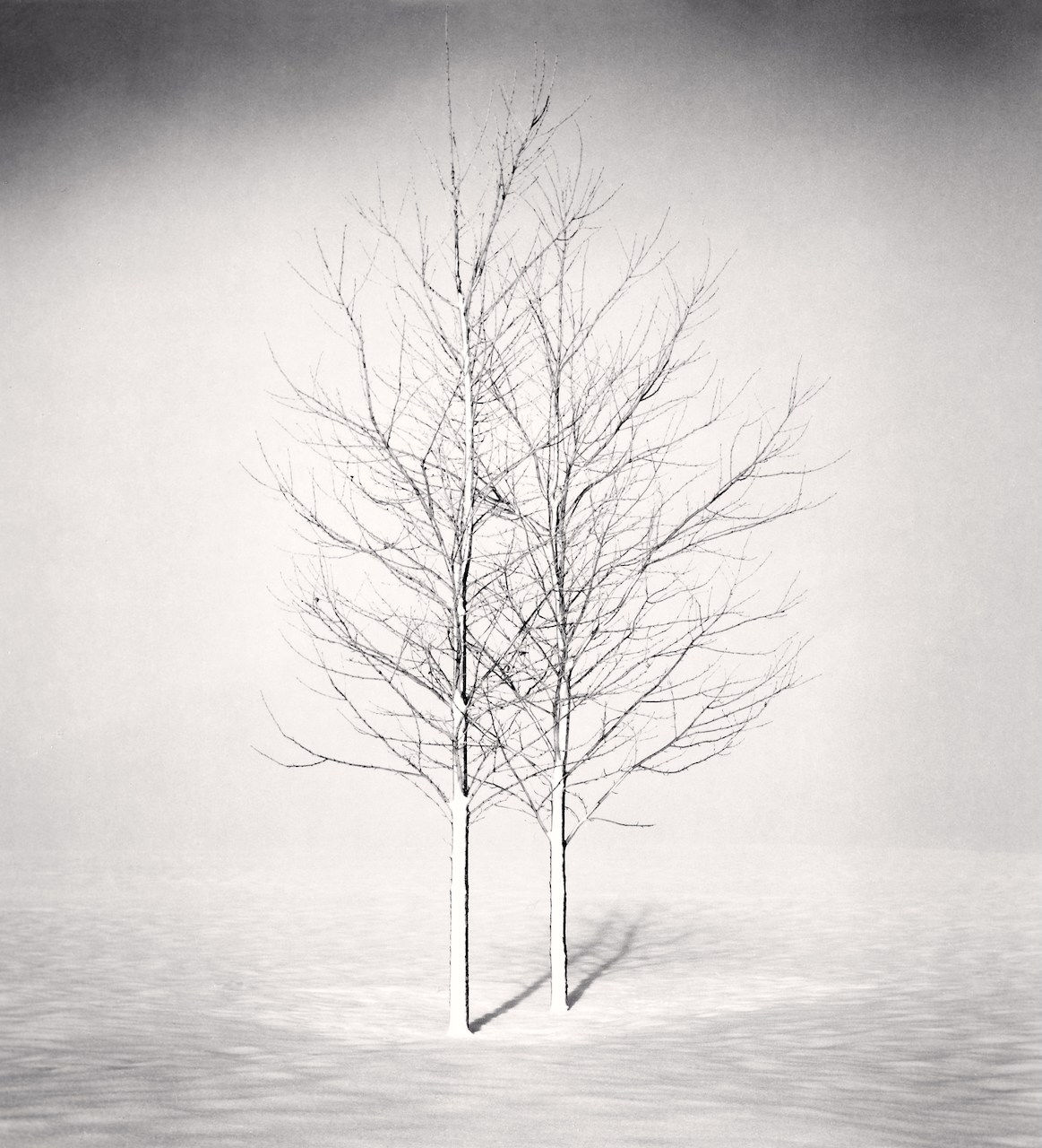 Michael Kenna, Somewhere Only We Know, Study 1, Wakoto, Hokkaido, Japan, 2002