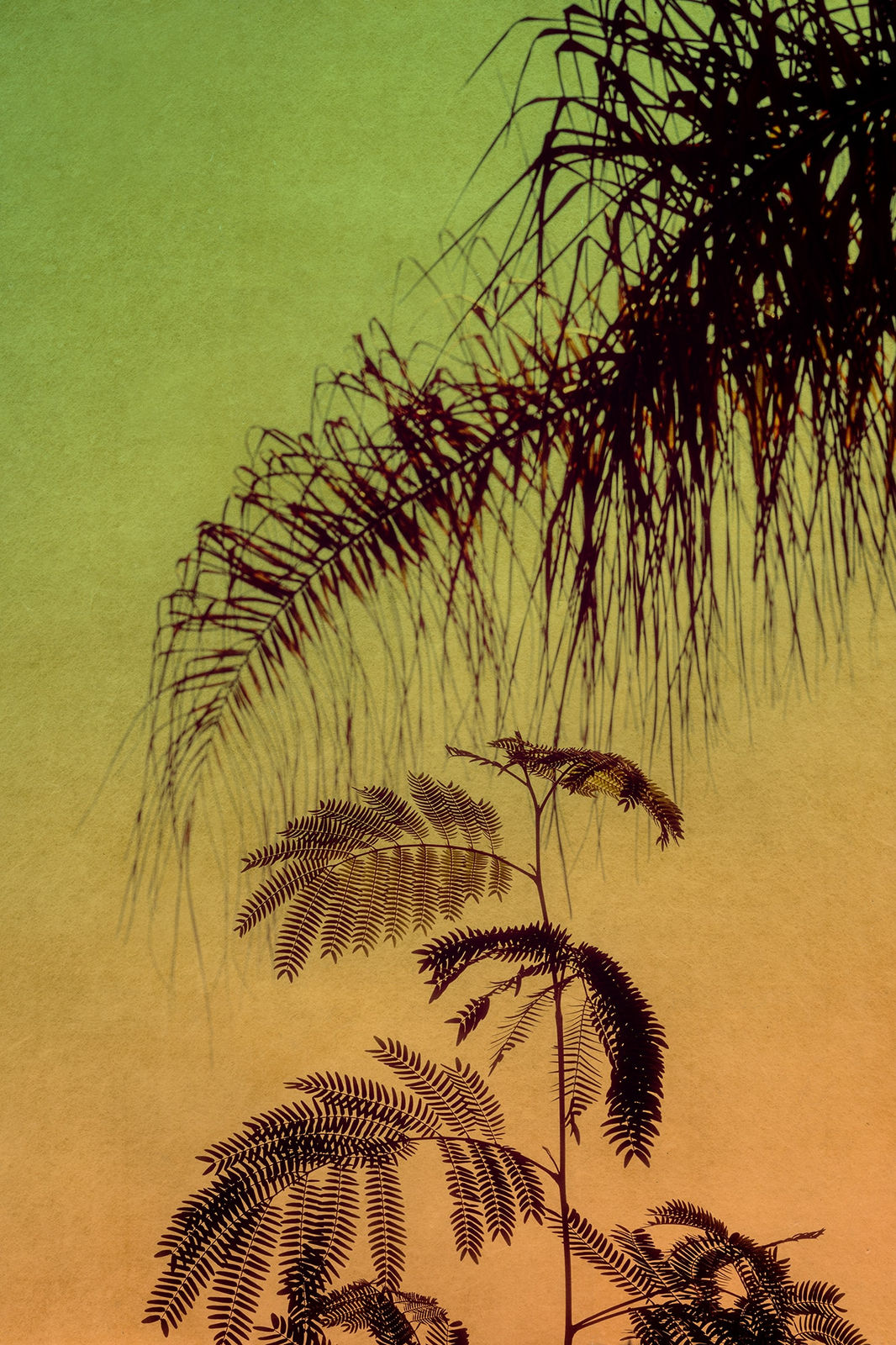 Albarrán Cabrera, The Mouth of Krishna #903, 2022