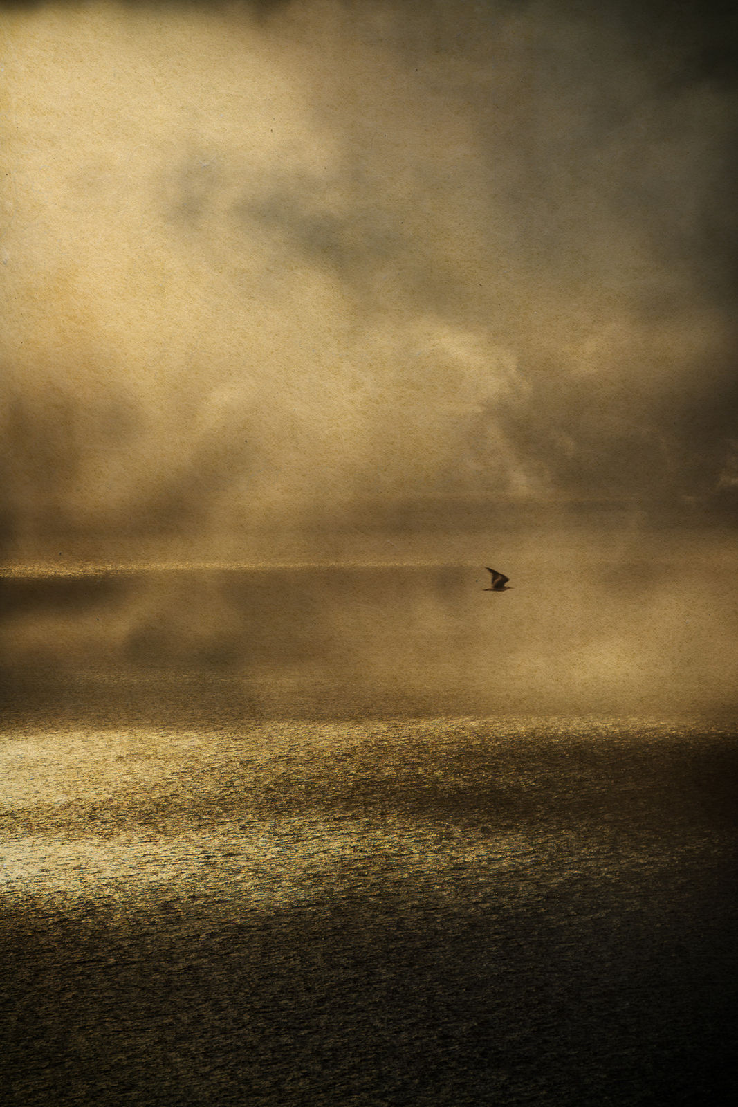 Albarrán Cabrera, The Mouth of Krishna #798, 2019